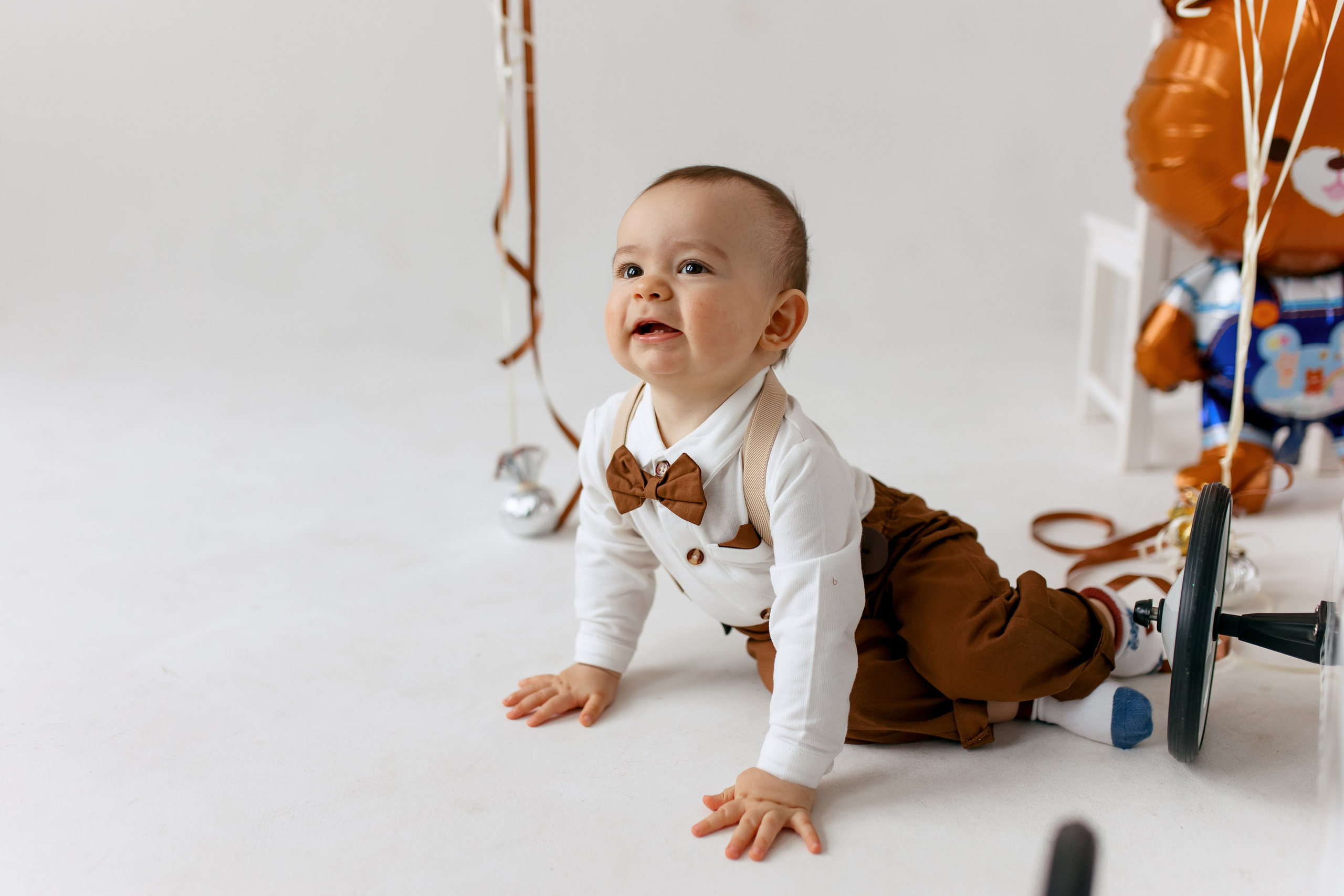 Мишка и шарики. Свадебный и портретный фотограф — Мария Костина