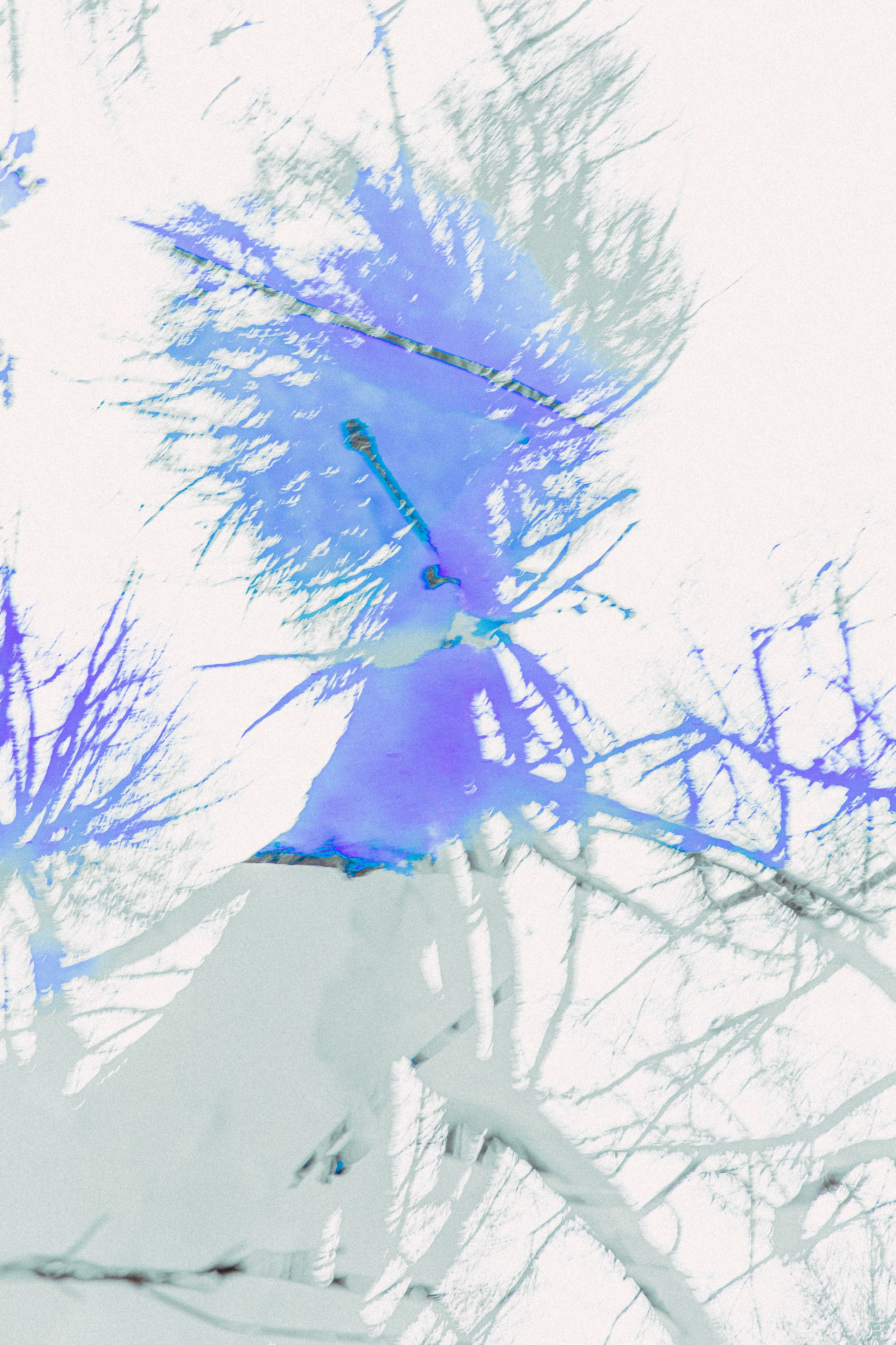 ИГГДРАСИЛЬ, 2025-2026. АННА ВЕРСО / ANNA VERSO | Визуальный художник / Visual artist