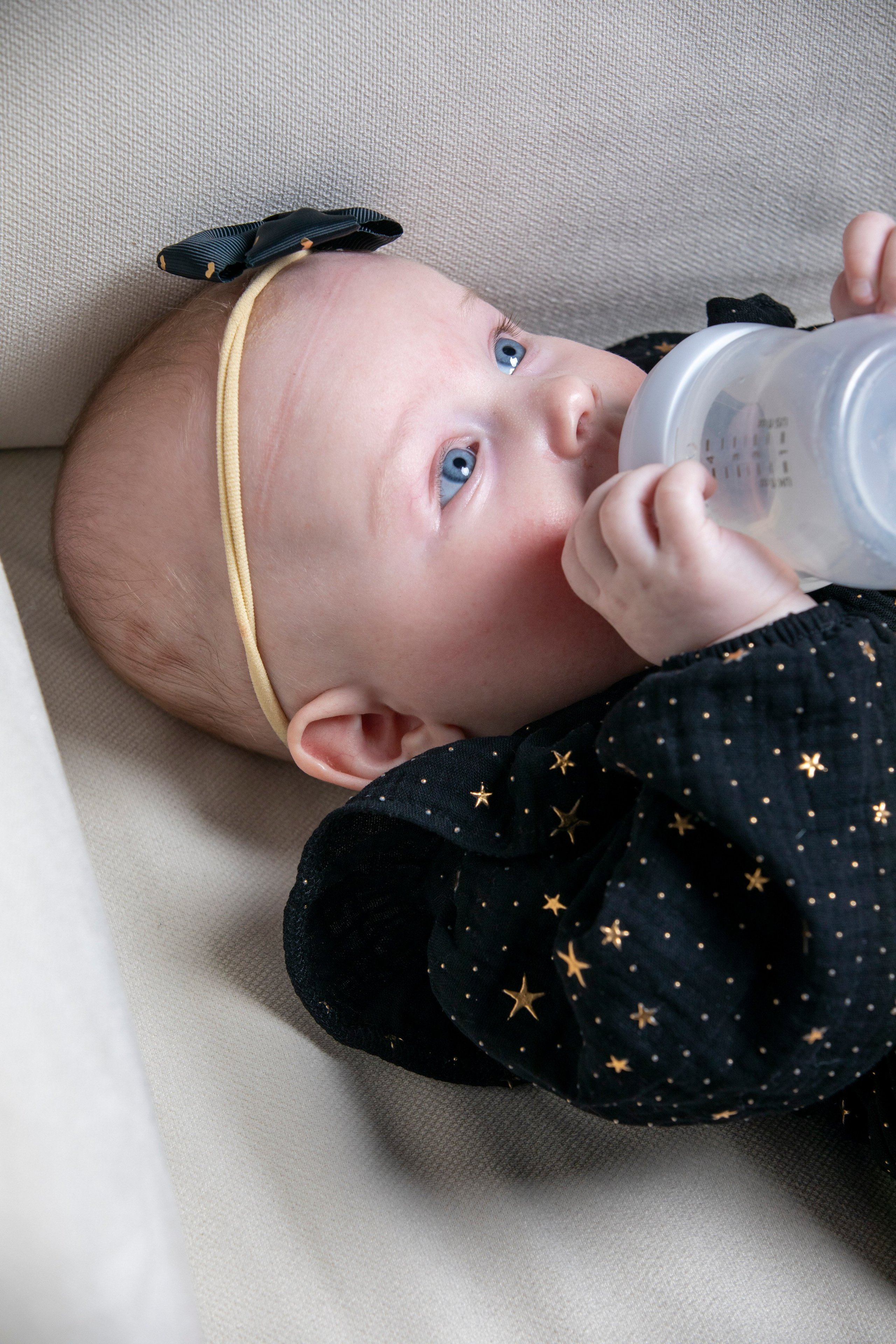 Семейные новогодние. ФОТОХУДОЖНИК