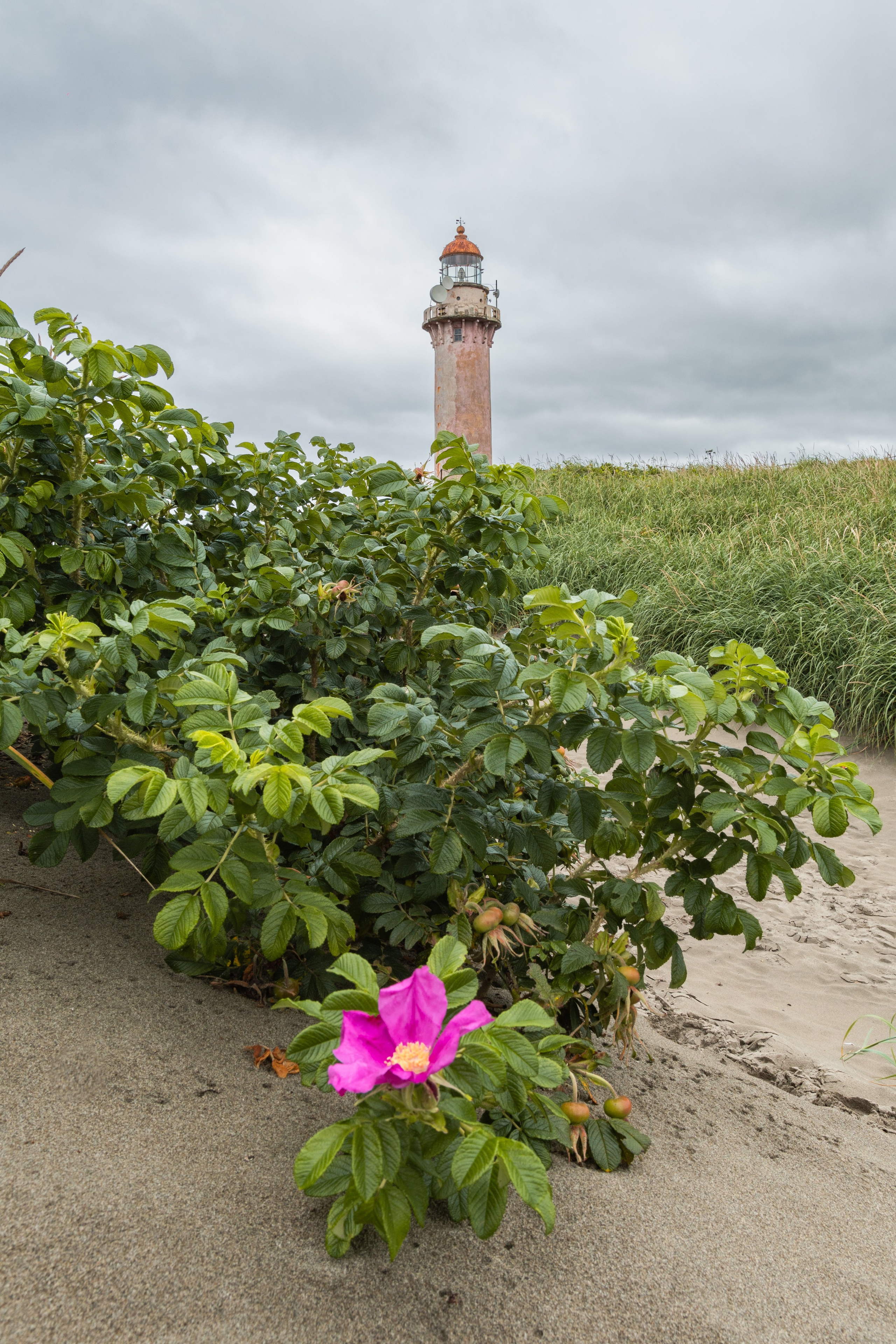 Сахалин. Gusarov Travel Photography
