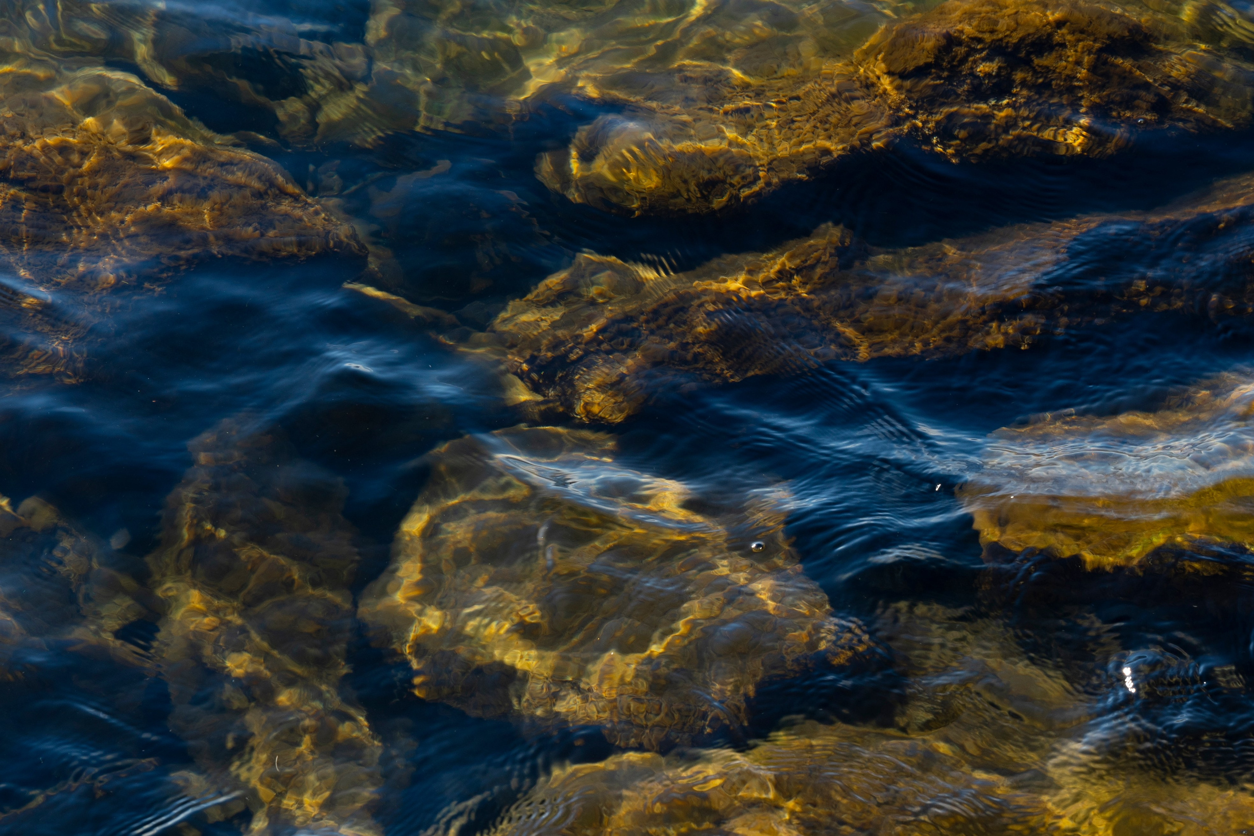 Вода Байкала