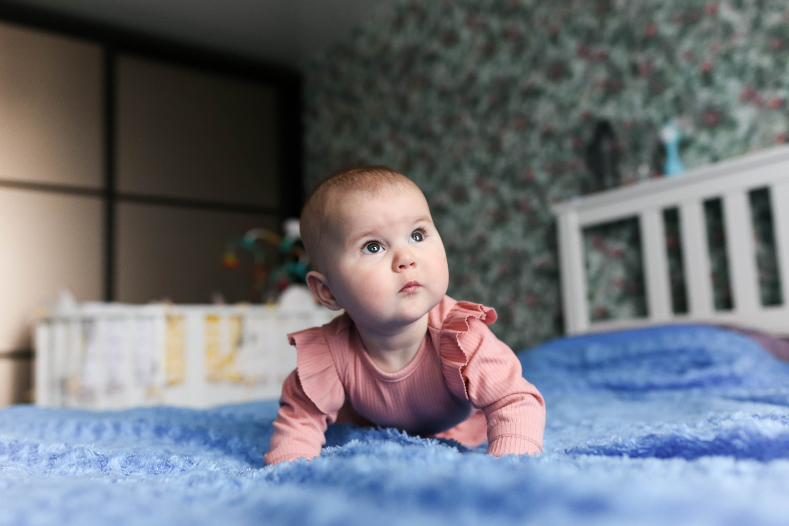 Первенец. Главная