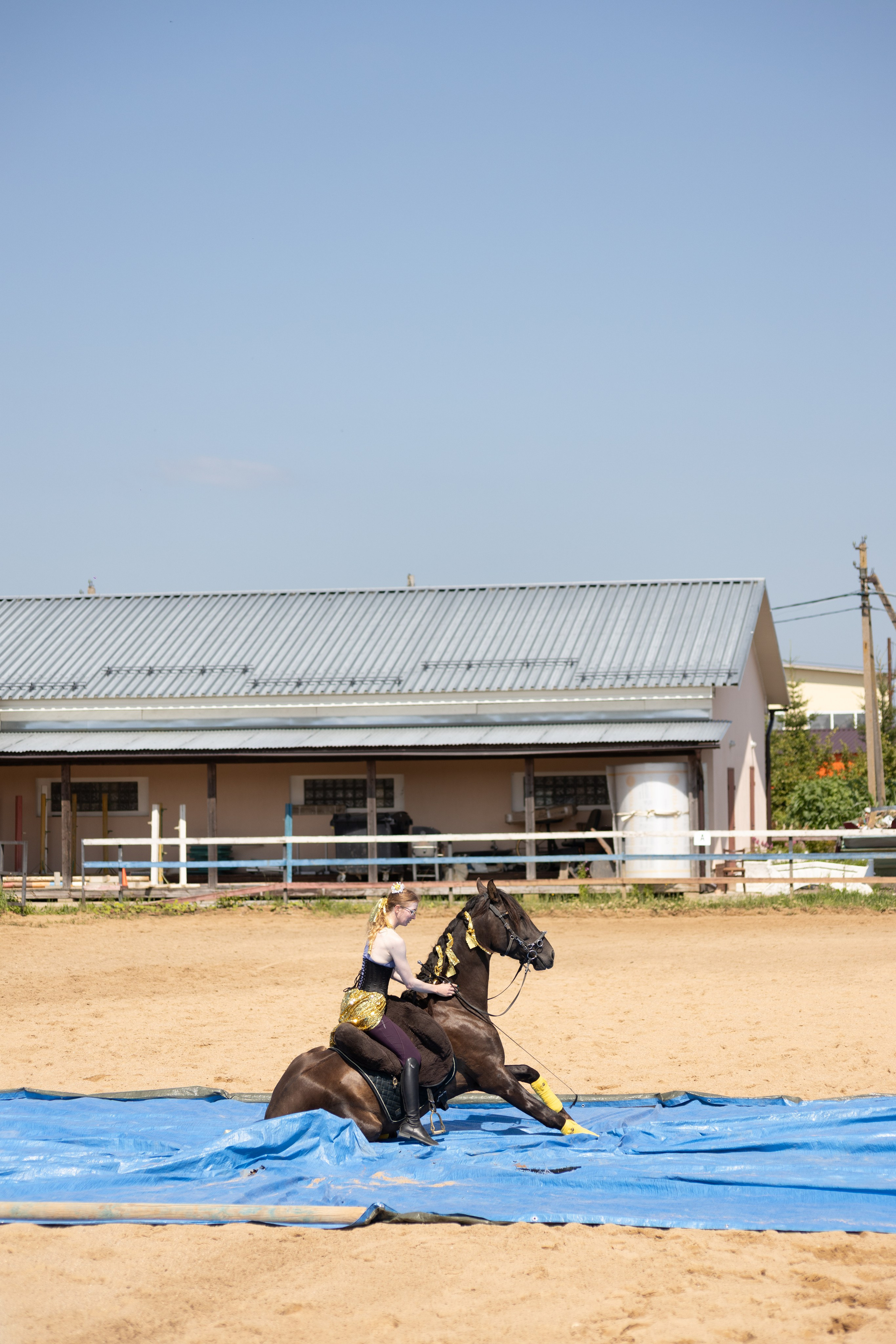 Конюшня. Фотограф в Москве и Истре