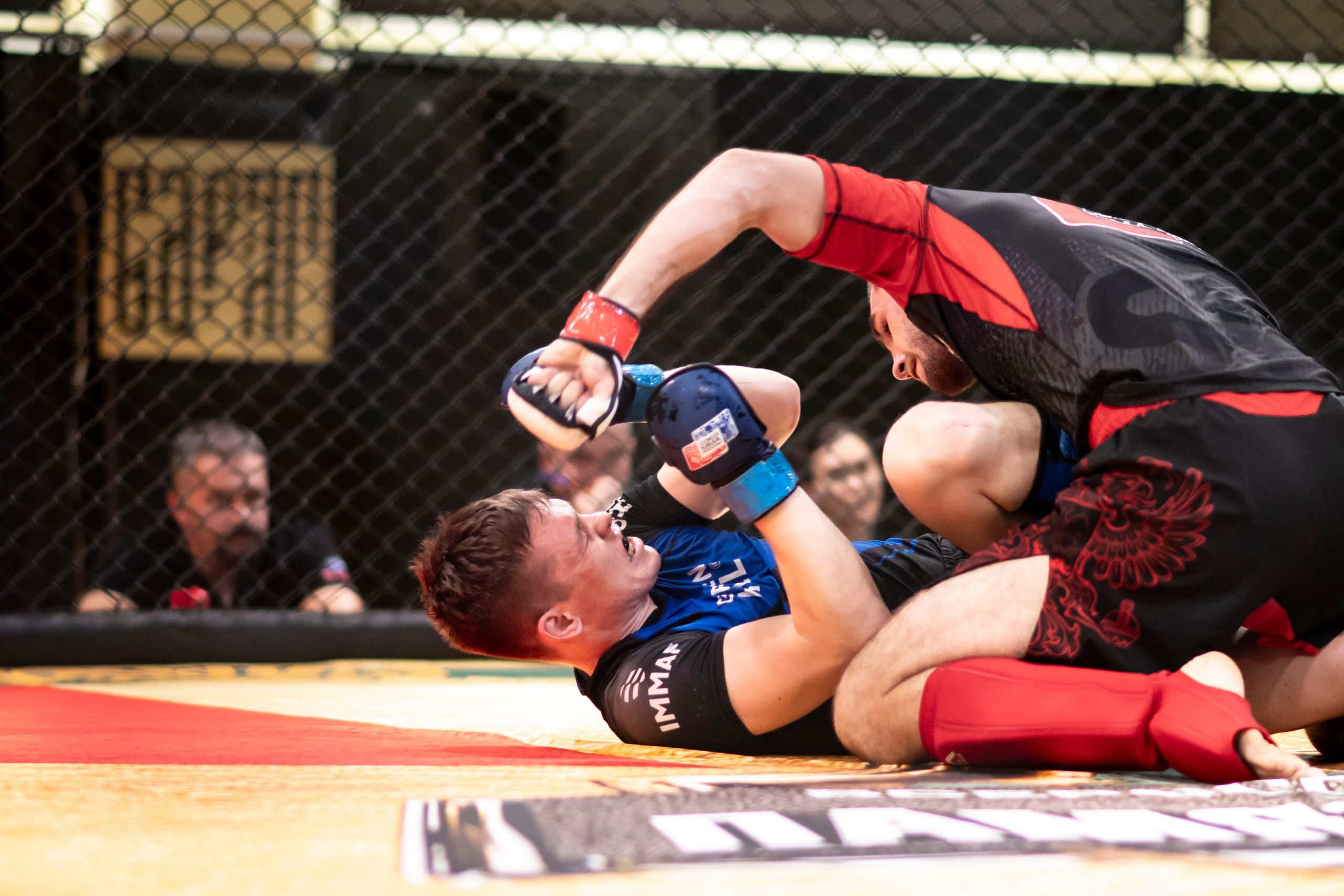 Всероссийский турнир ММА. Новомосковск, ноябрь 2025. Спортивный фотограф в Туле и Тульской области. Файсханова Фото Спорт