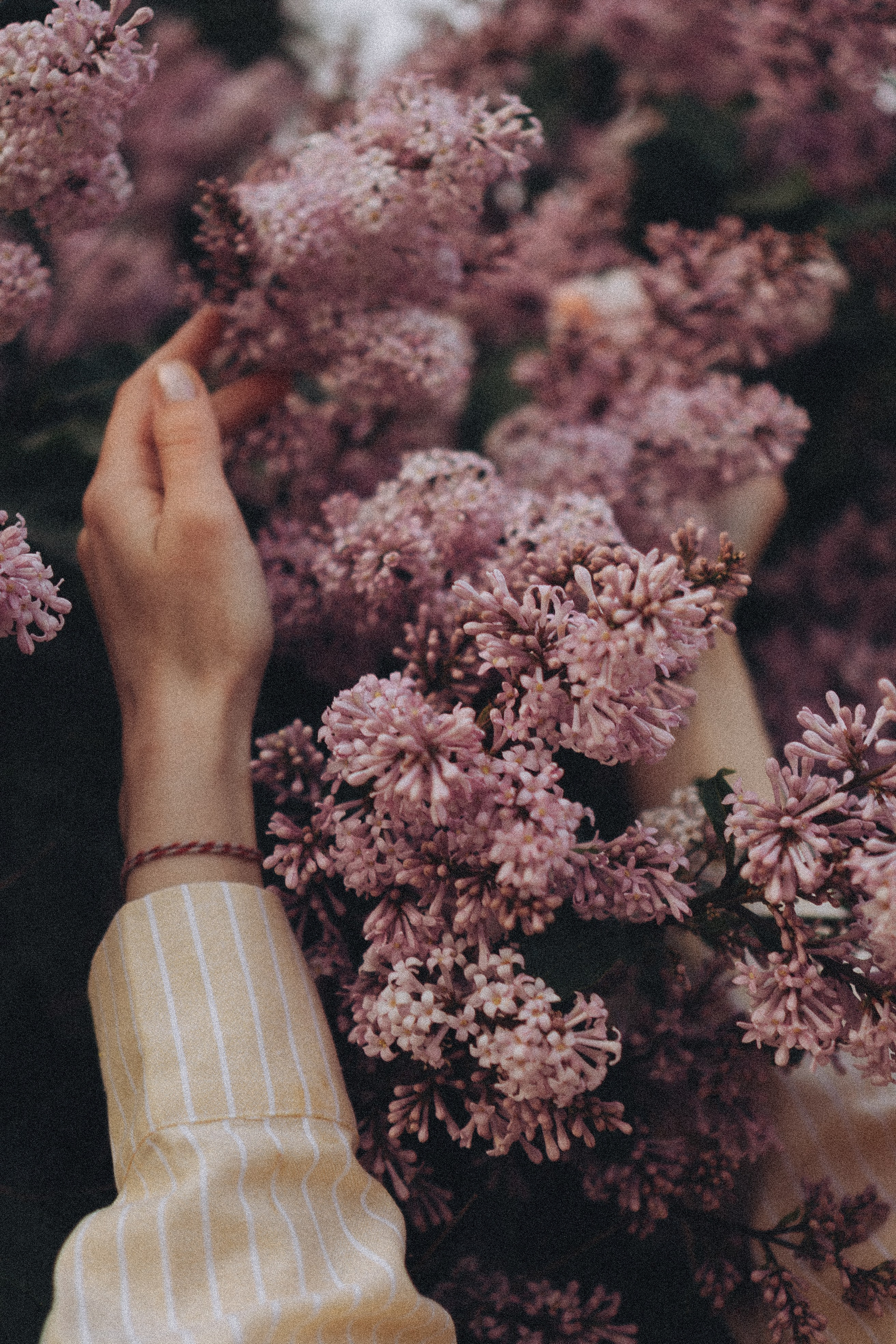 Весна. Профессиональный фотограф, Санкт-Петербург — Виктория Богомолова