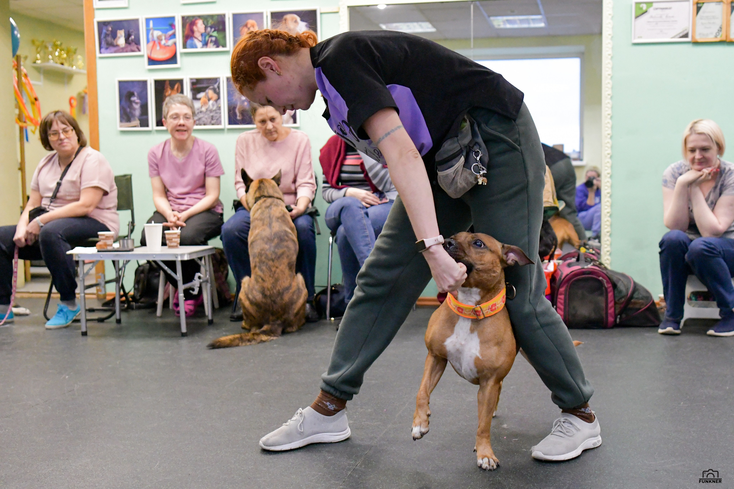 Кинологический клуб «Бодрый хвост». Свой взгляд через объектив