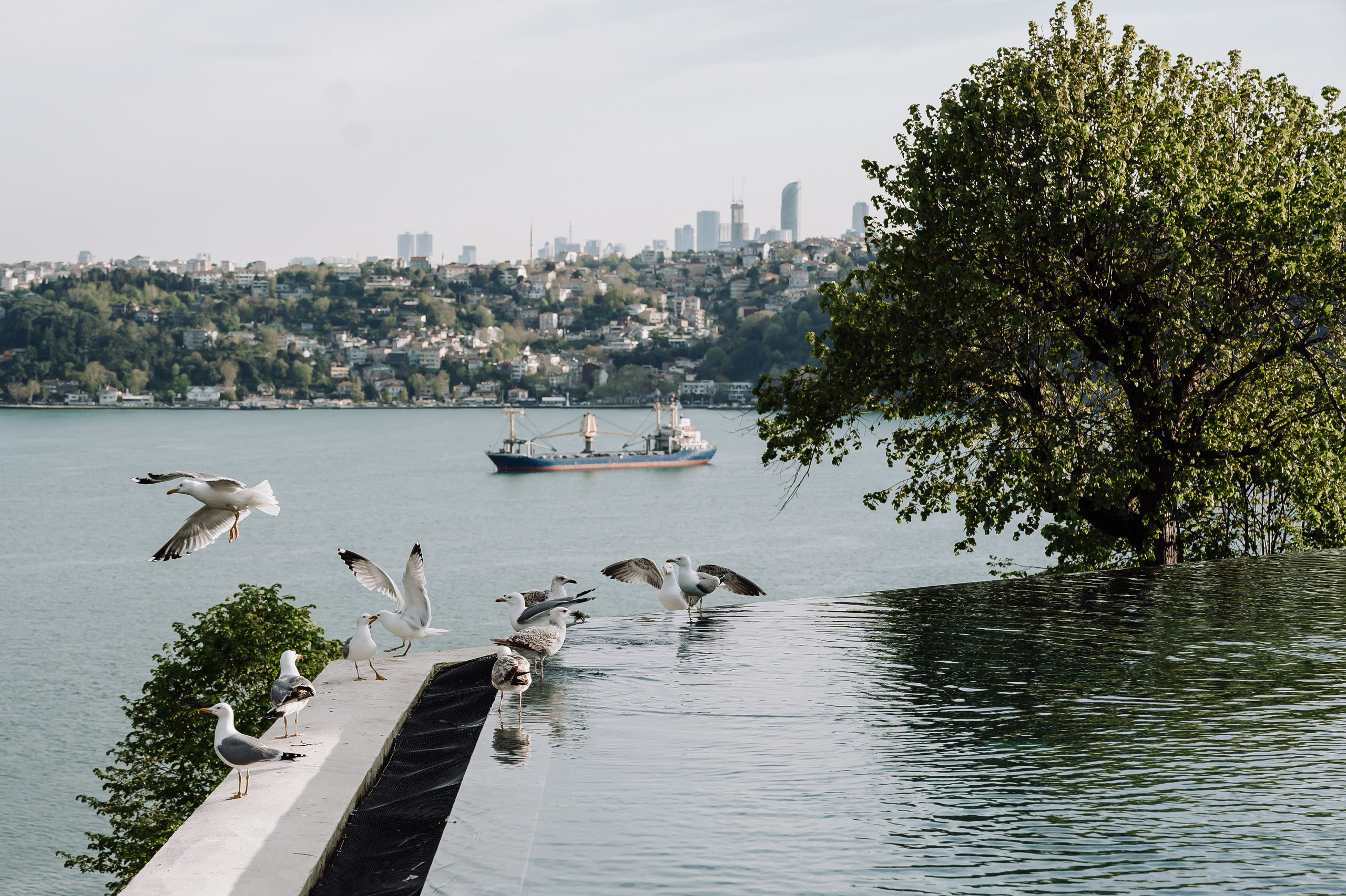 Istanbul Sariyer wedding. Wedding & Documentary Photographer based in Nuremberg — available across Europe & Turkey | Vitalii Nasonov