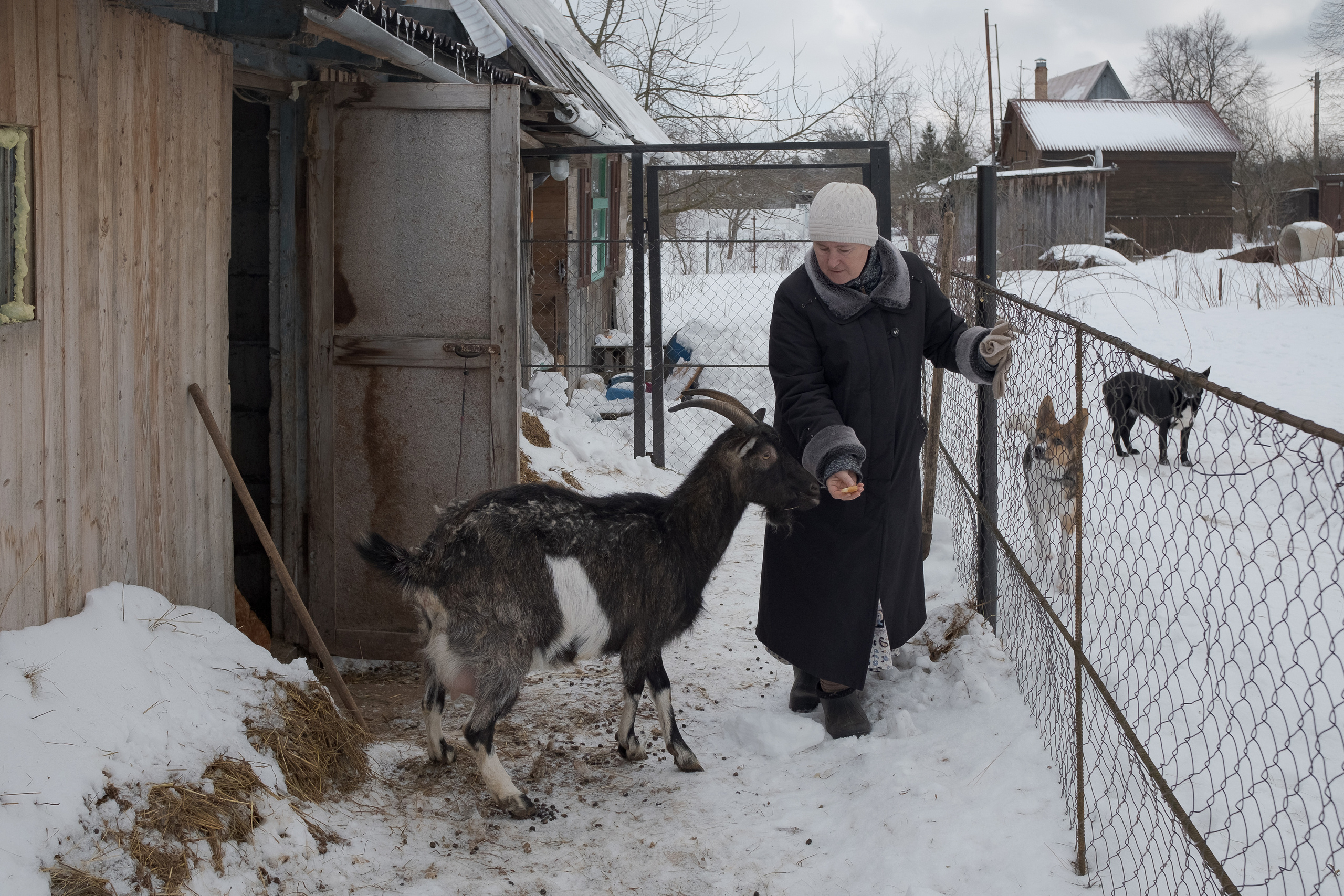 Come to me. Ksenia Maksimova