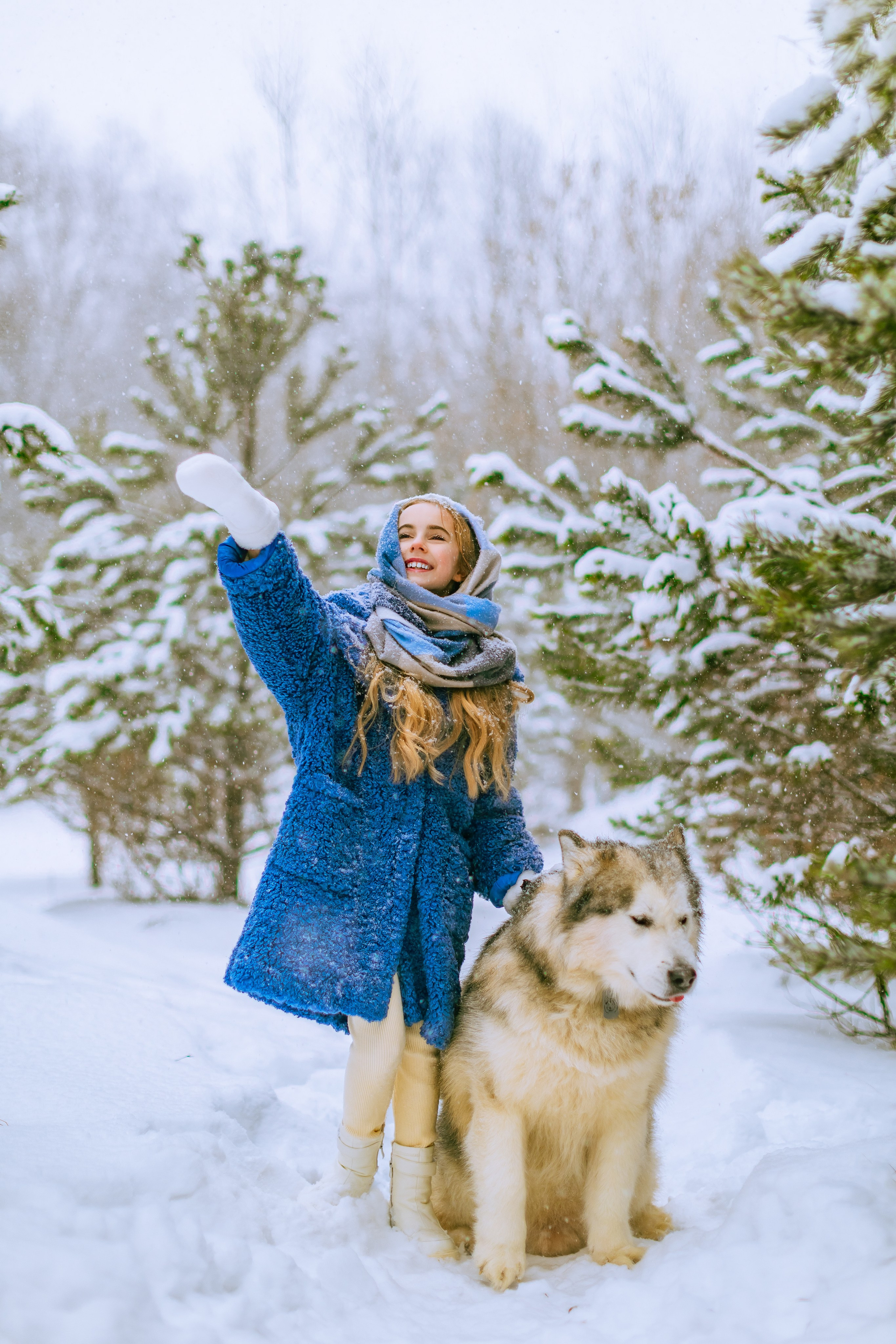 София и аляскинский маламут. Фото и видео Москва, Московский. Свадебный фотограф, видеограф, фотосессии, видеосъемка