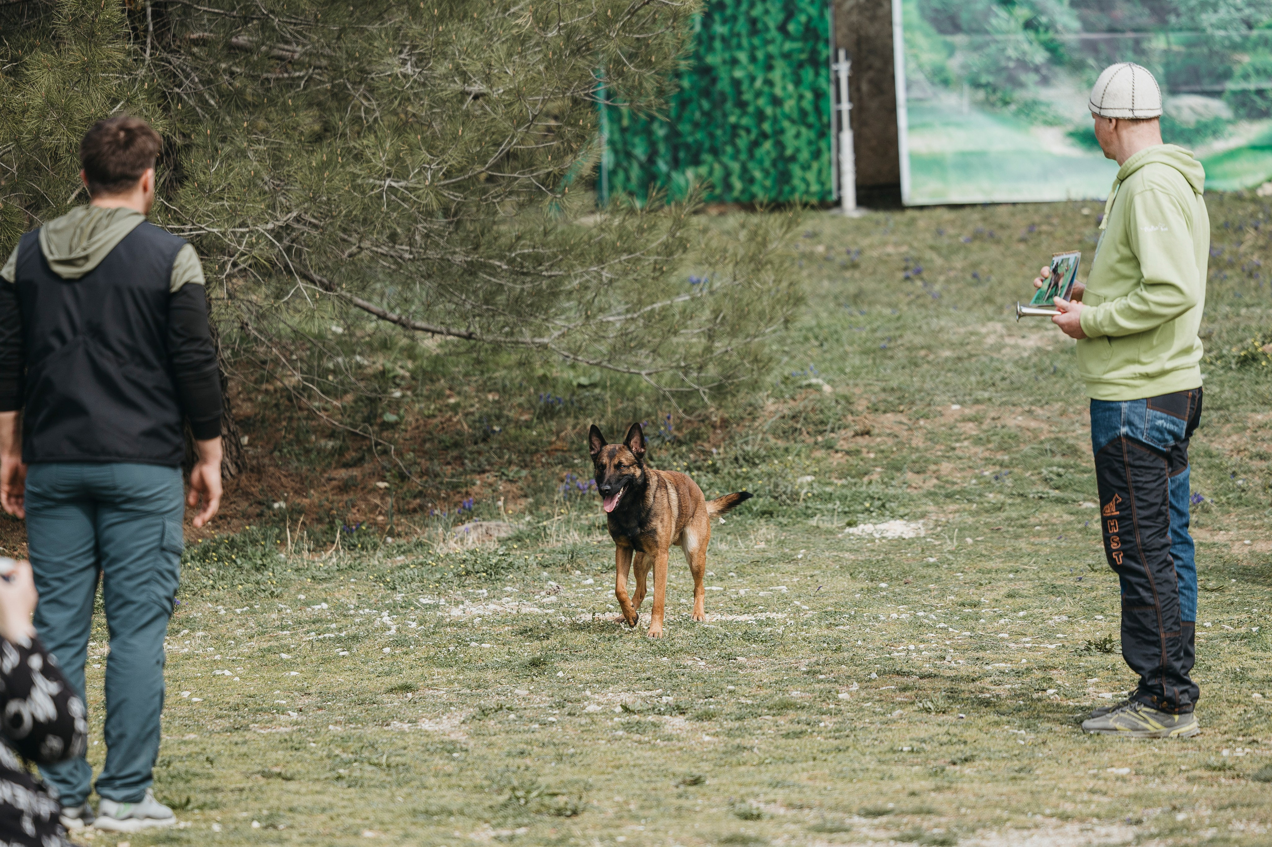 Геленджик Мондьоринг. Фотограф-анималист Анна Маринич