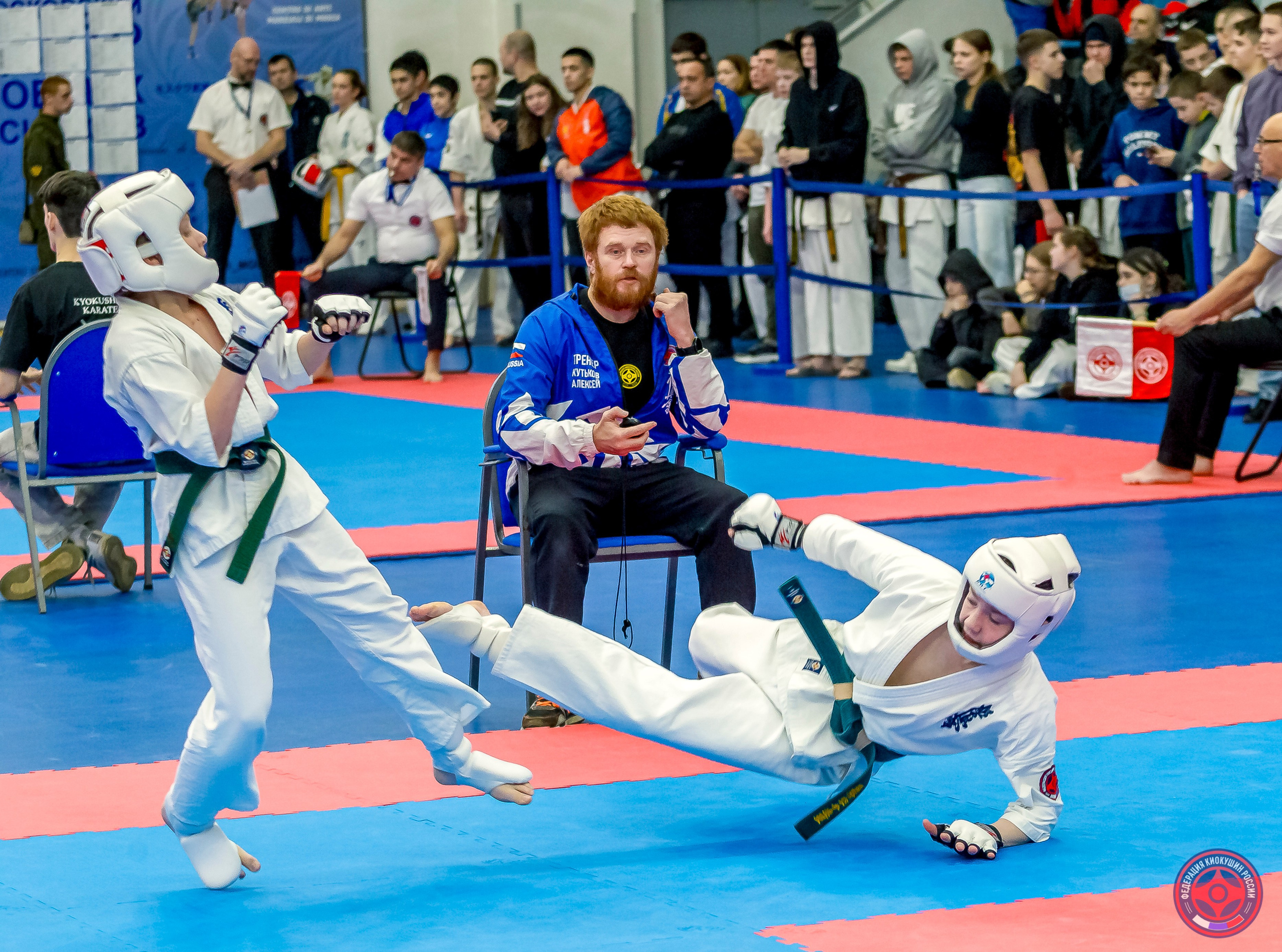 Международный турнир по киокушин «Открытый кубок Seiken». Репортажная съемка в Москве и области. Анималистика