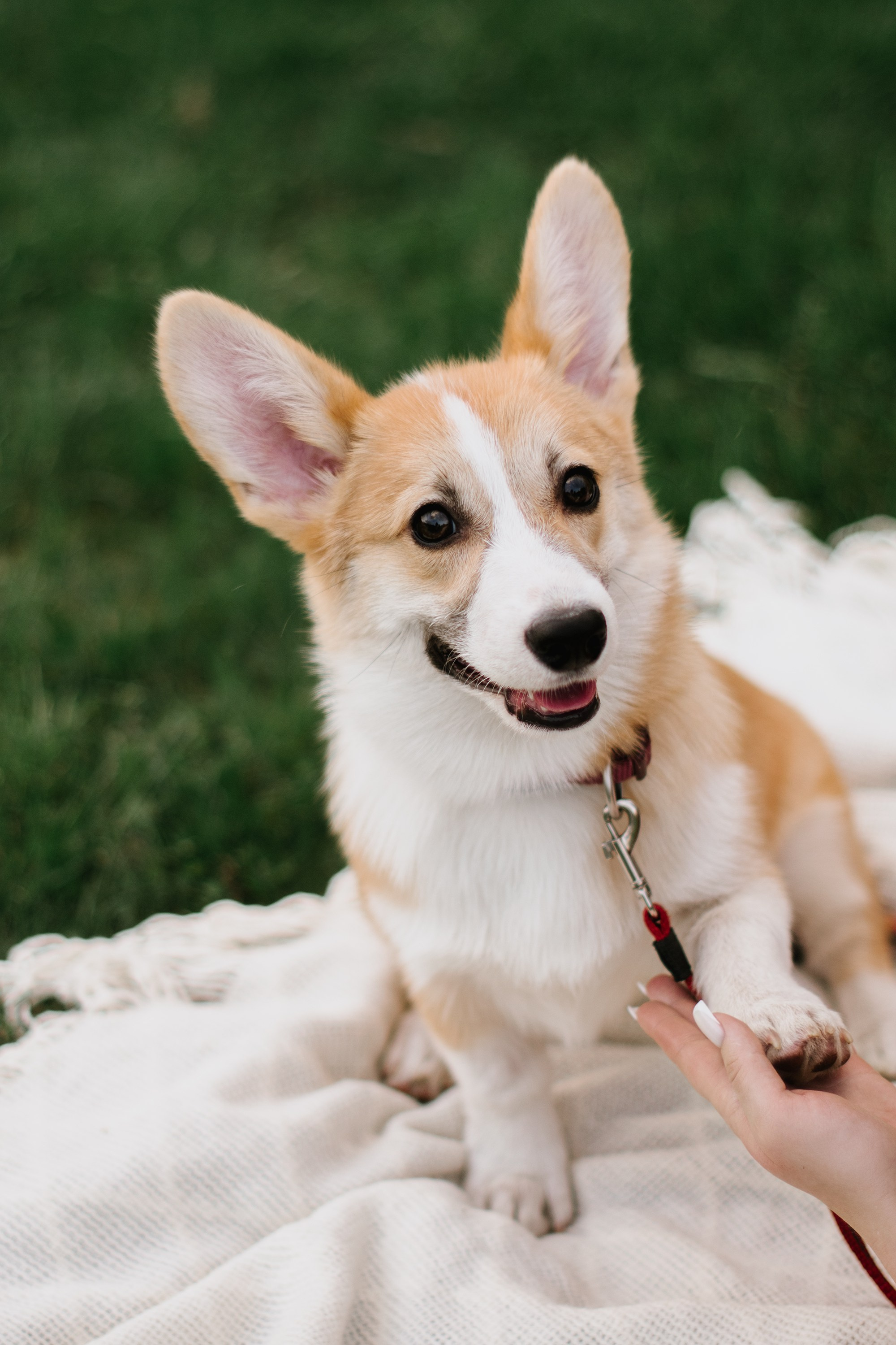 Таня и Чак. Фотограф индивидуальная портретная съёмка Москва