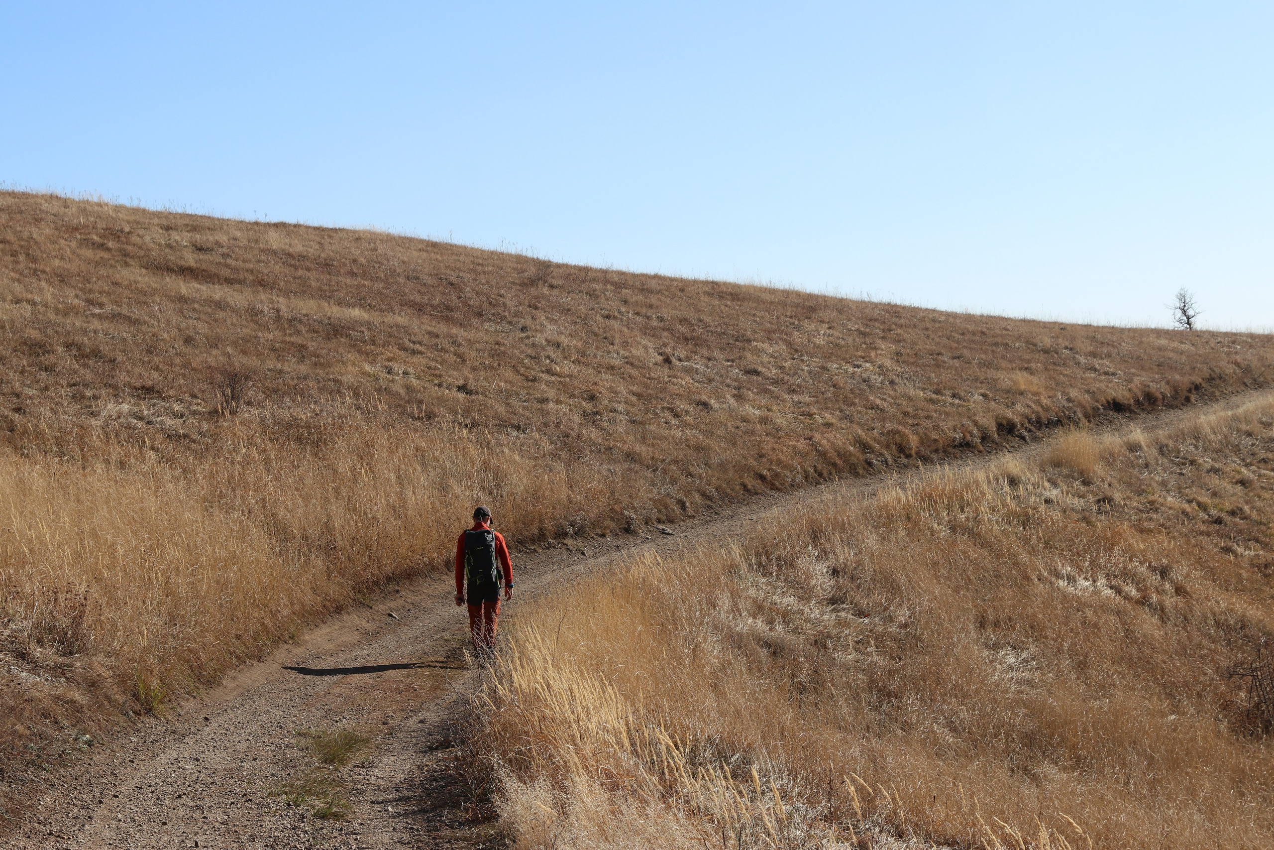Крым. ЮБК (Гурзуф, Судак и их окрестности). Ноябрь 2023. Путешественник-фотограф из Санкт-Петербурга Татьяна Свистулина