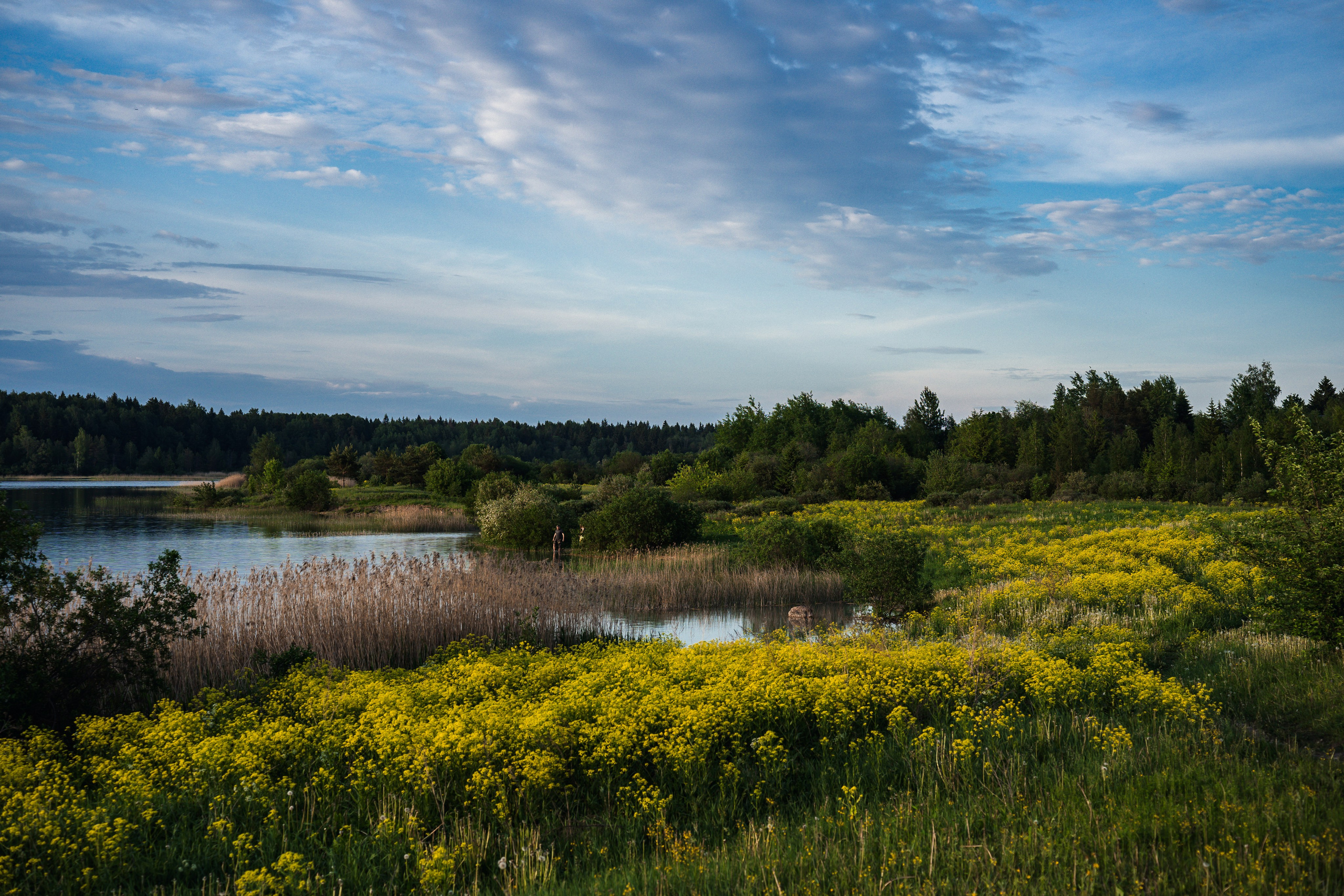 Встреча лета на озере Донцо. Предметный фотограф Санкт-Петербург
