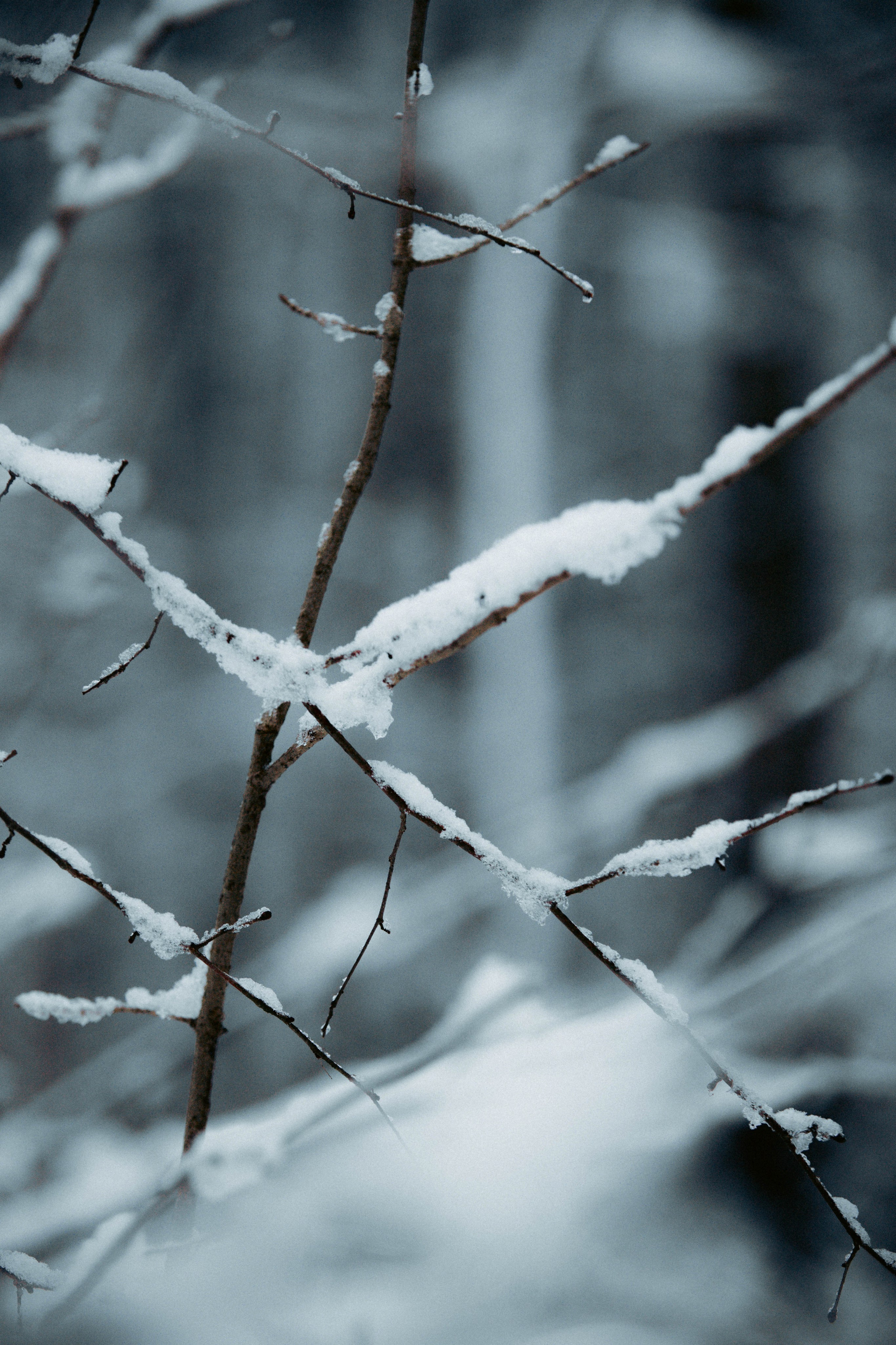 Марафон у дома_Бунино. Александра Мельниченко/ Бегающий фотограф