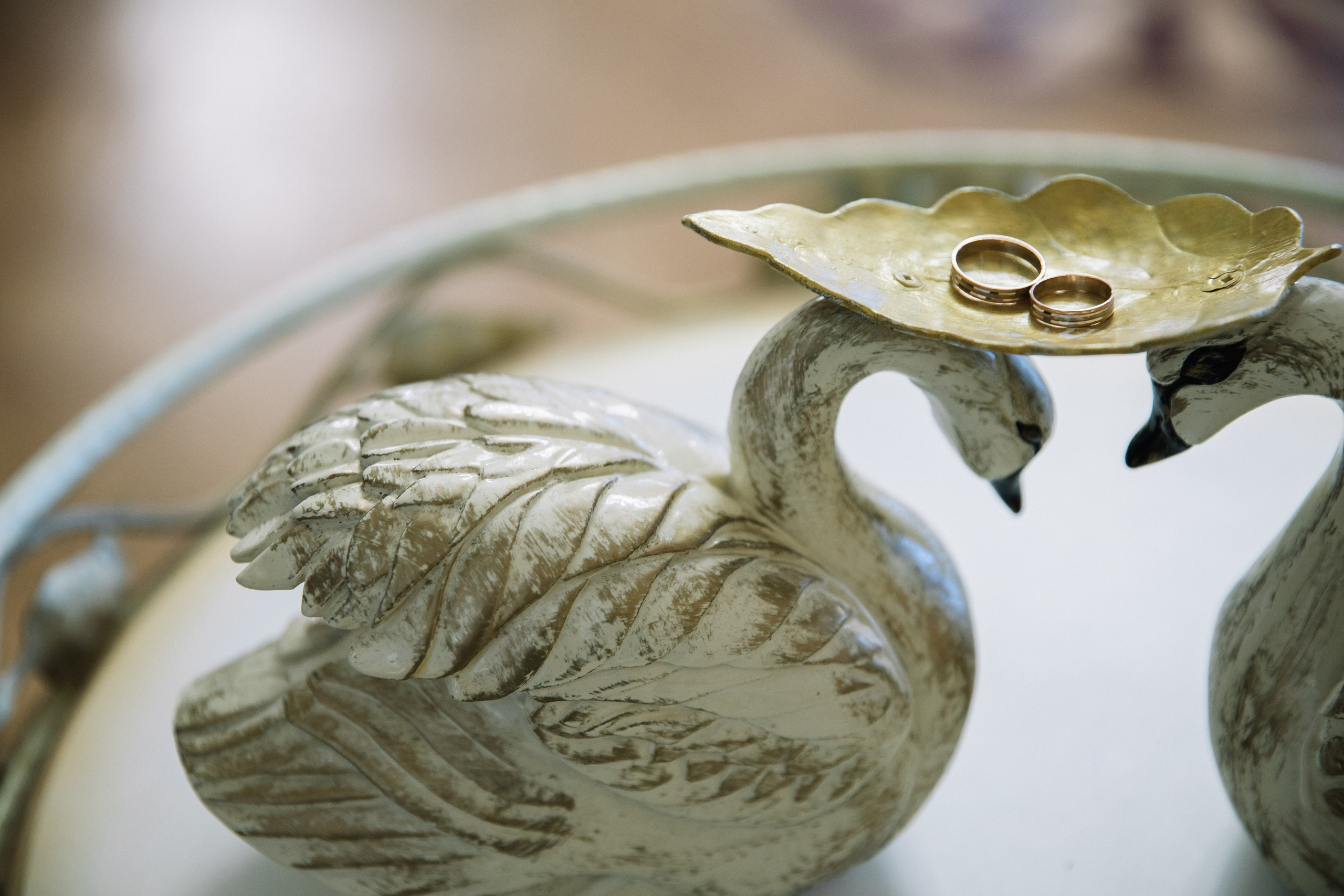 Любовь и Михаил. VOLOCHKOVA