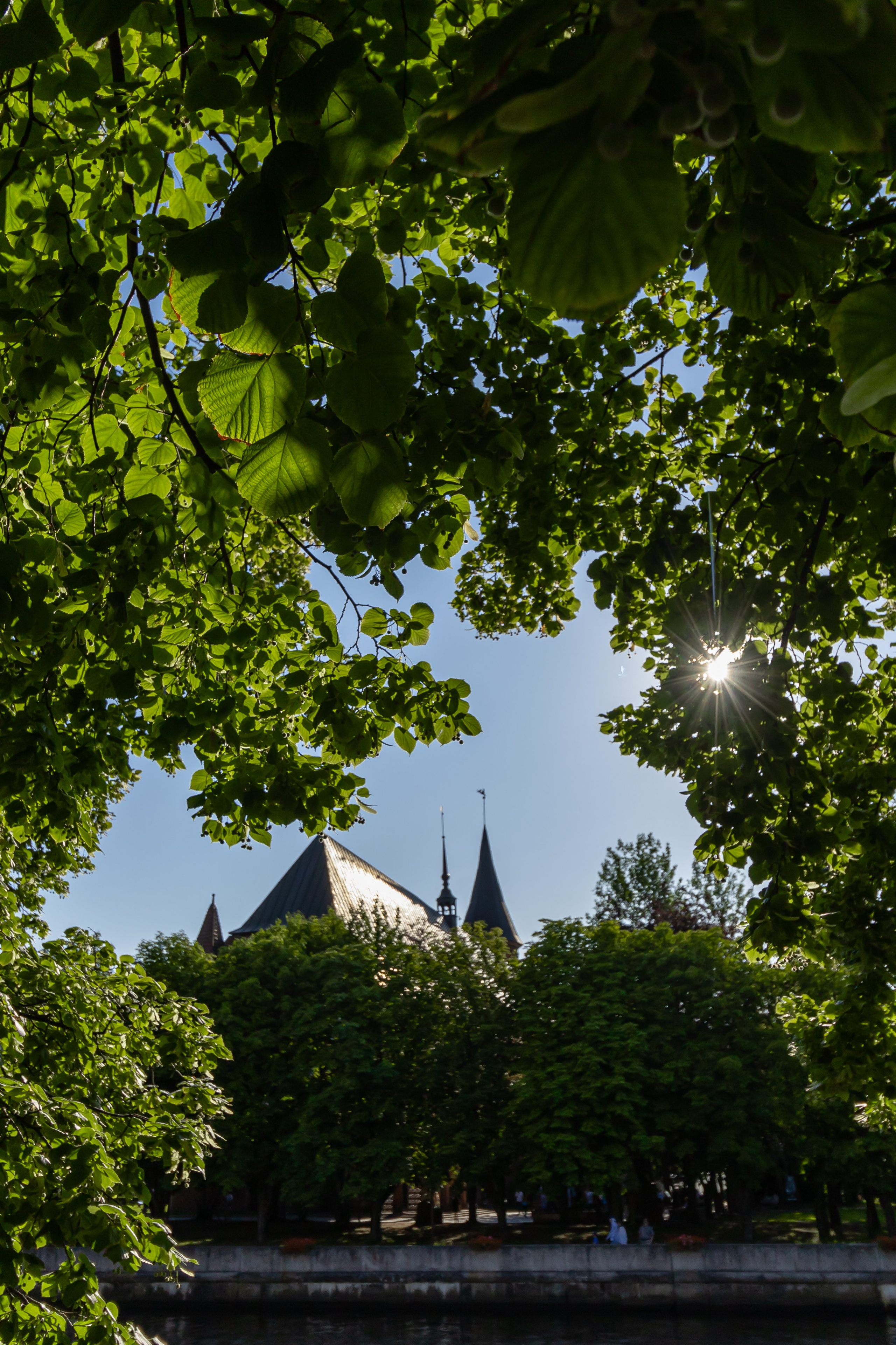 https://lori.ru/45493753 Kaliningrad, Kaliningrad Region Russia, July 13, 2023 Cathedral on the island of Kant summer view