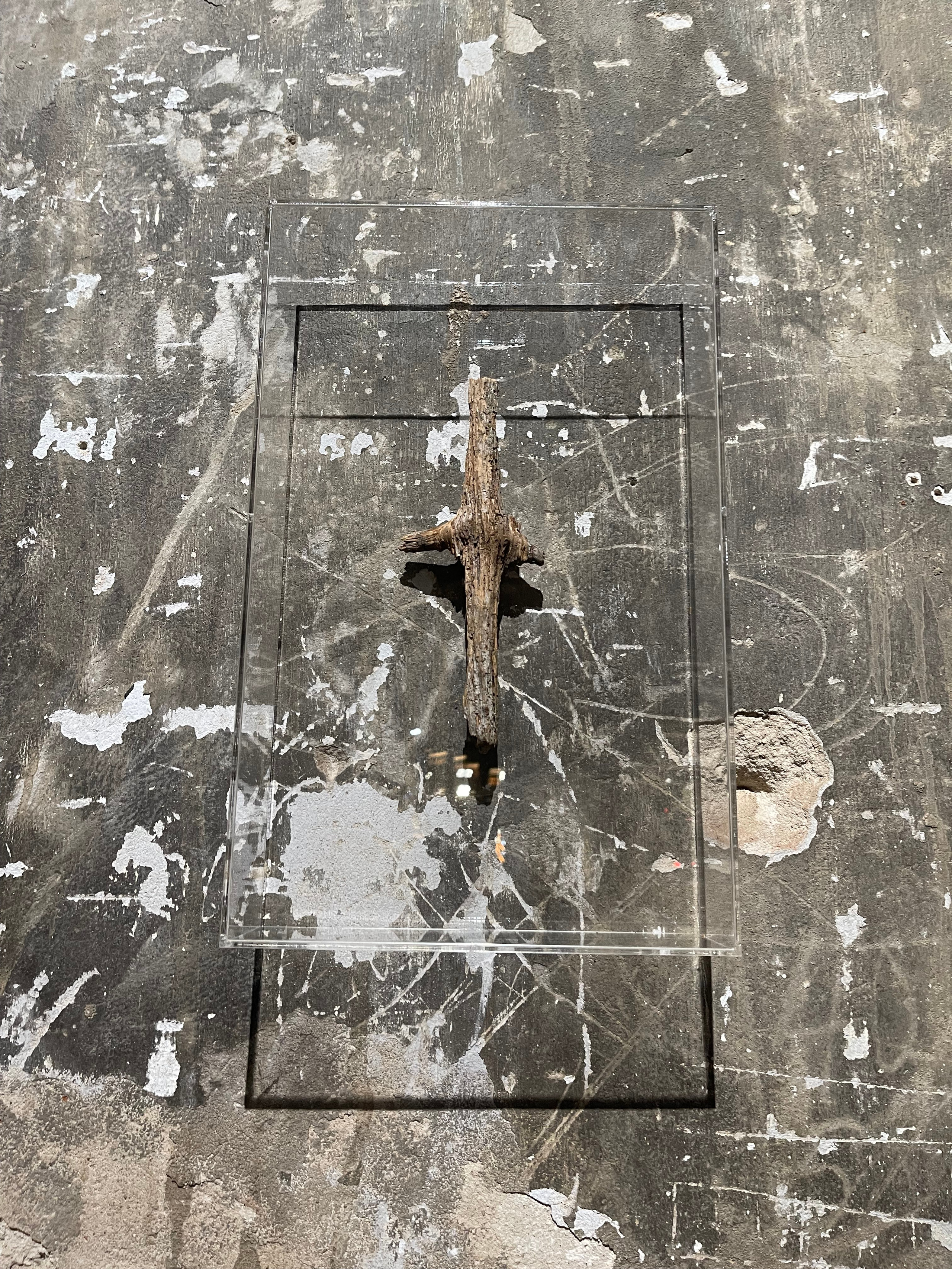 Asya Feoktistova. AS LONG AS THERE IS LIGHT. Asya Feoktistova