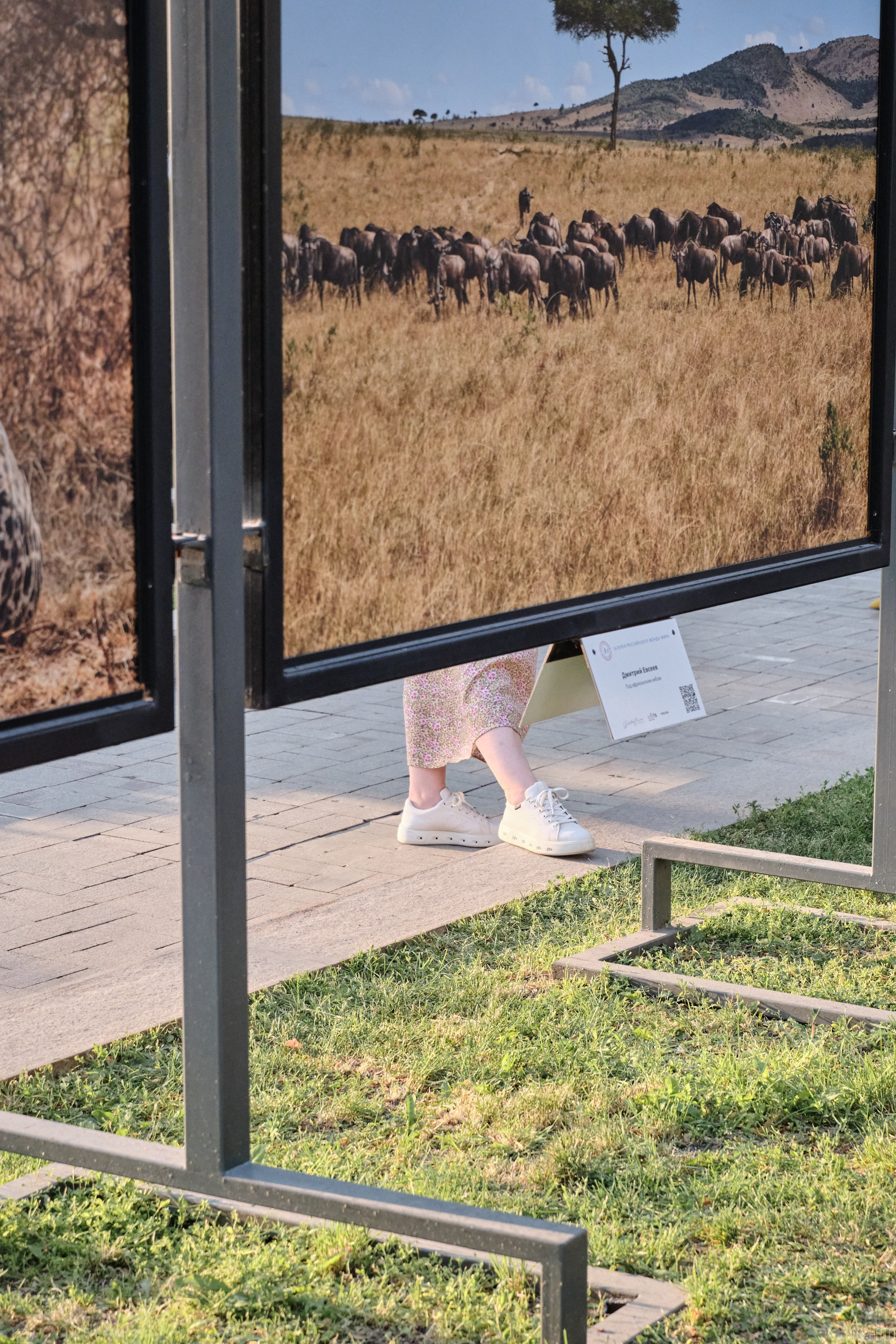 Бульвары для всех l Лето в Москве. Фотографъ Сергѣевъ. Поймать мгновеніе