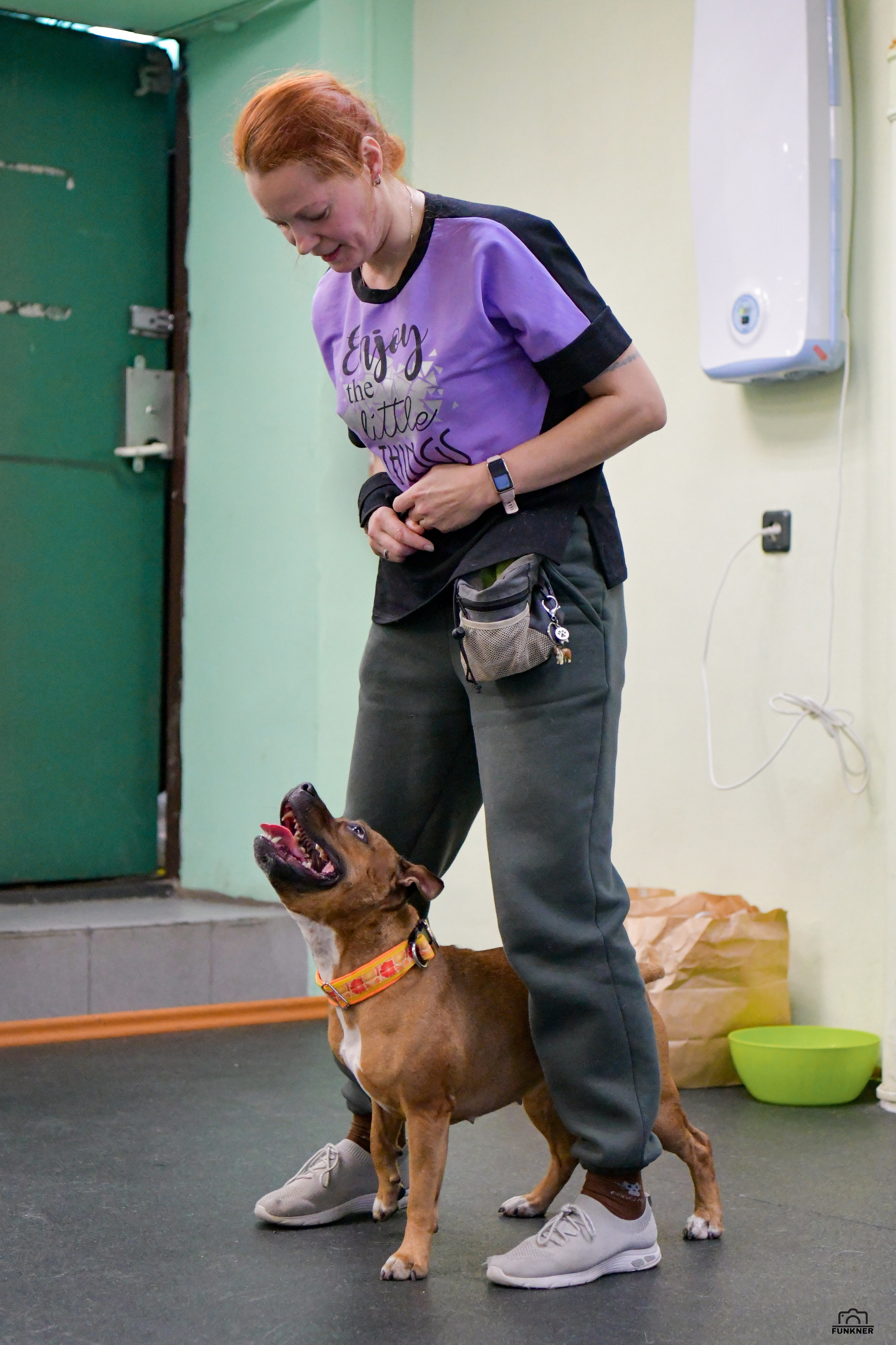 Кинологический клуб «Бодрый хвост». Свой взгляд через объектив