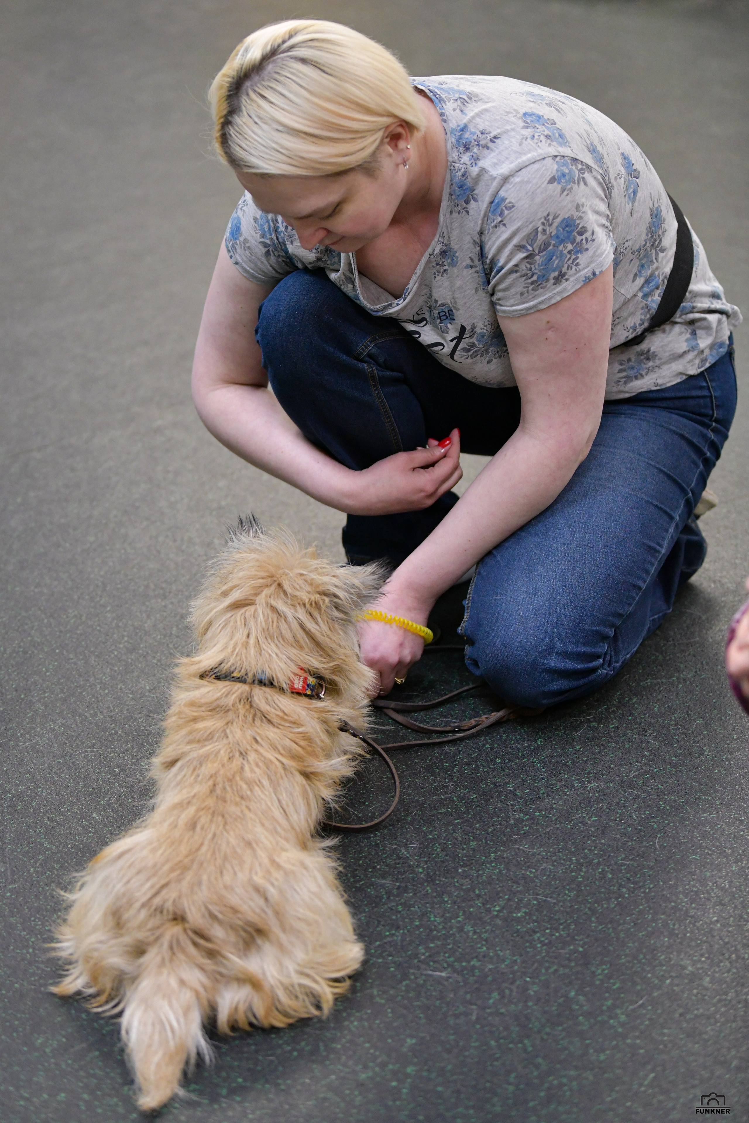 Кинологический клуб «Бодрый хвост». Свой взгляд через объектив