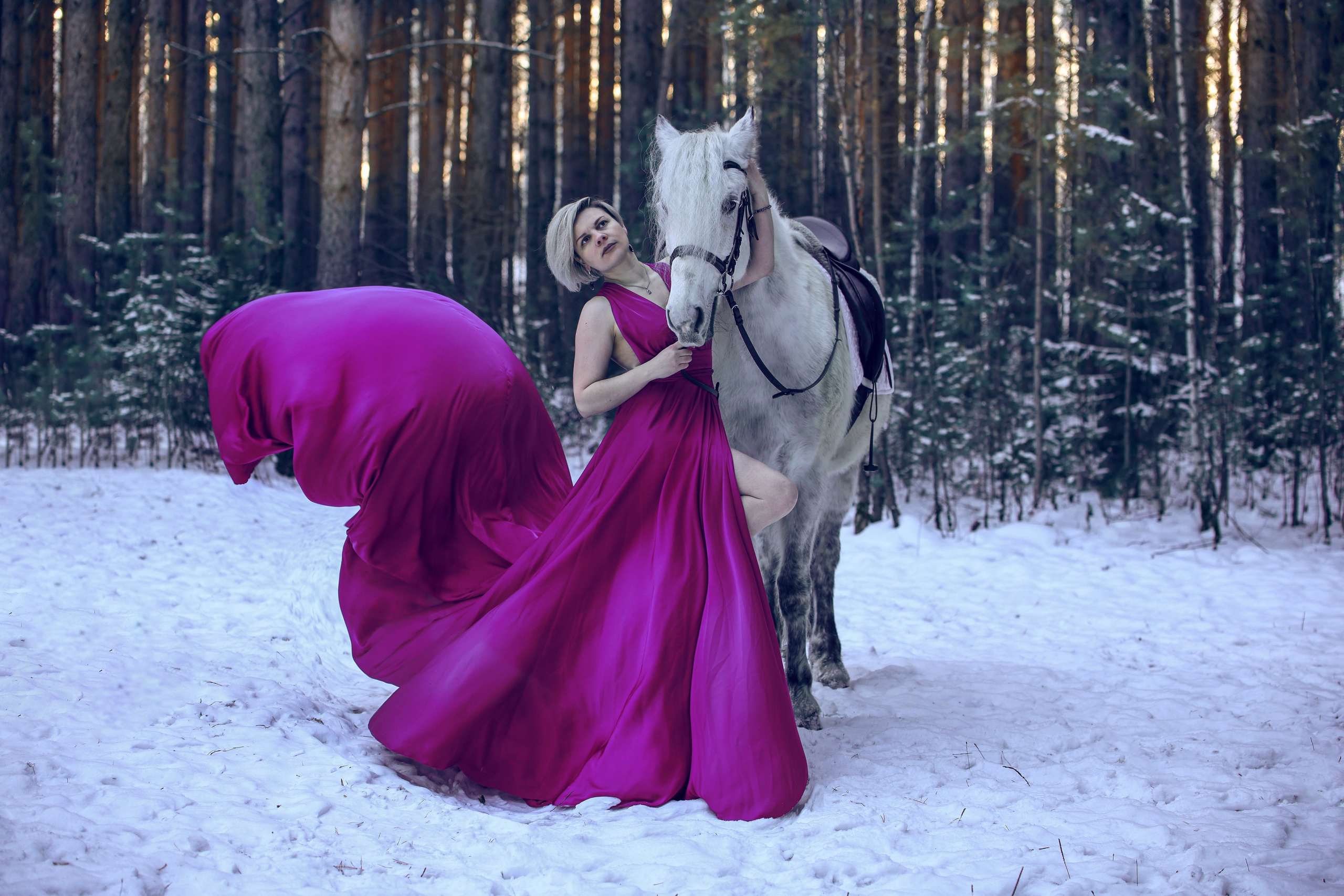 Феникс. Конный фотограф в Красноярске — Любовь Похабова