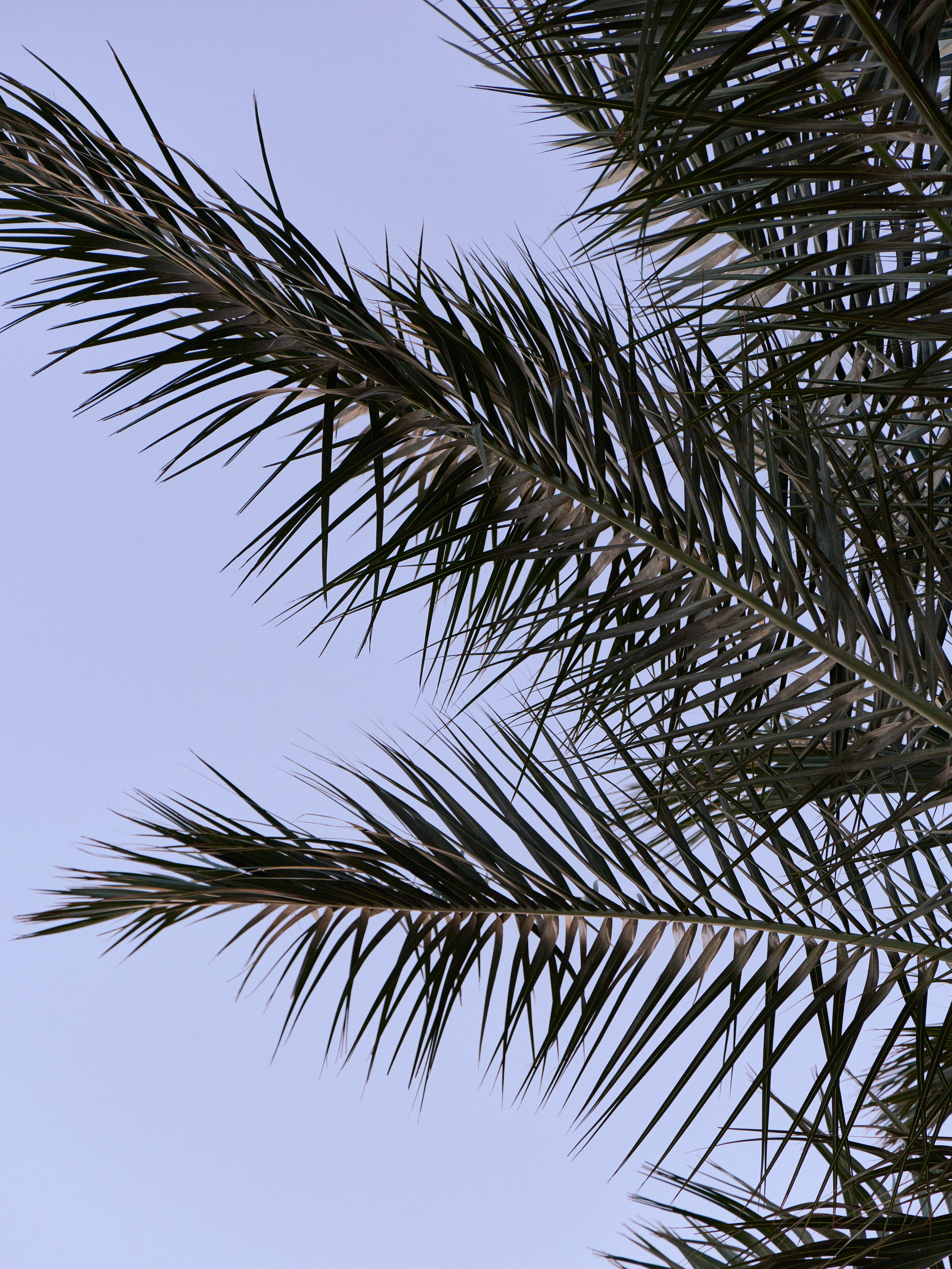 Другое 3. Jorgis — фотограф в Хургаде / обучение фотографии