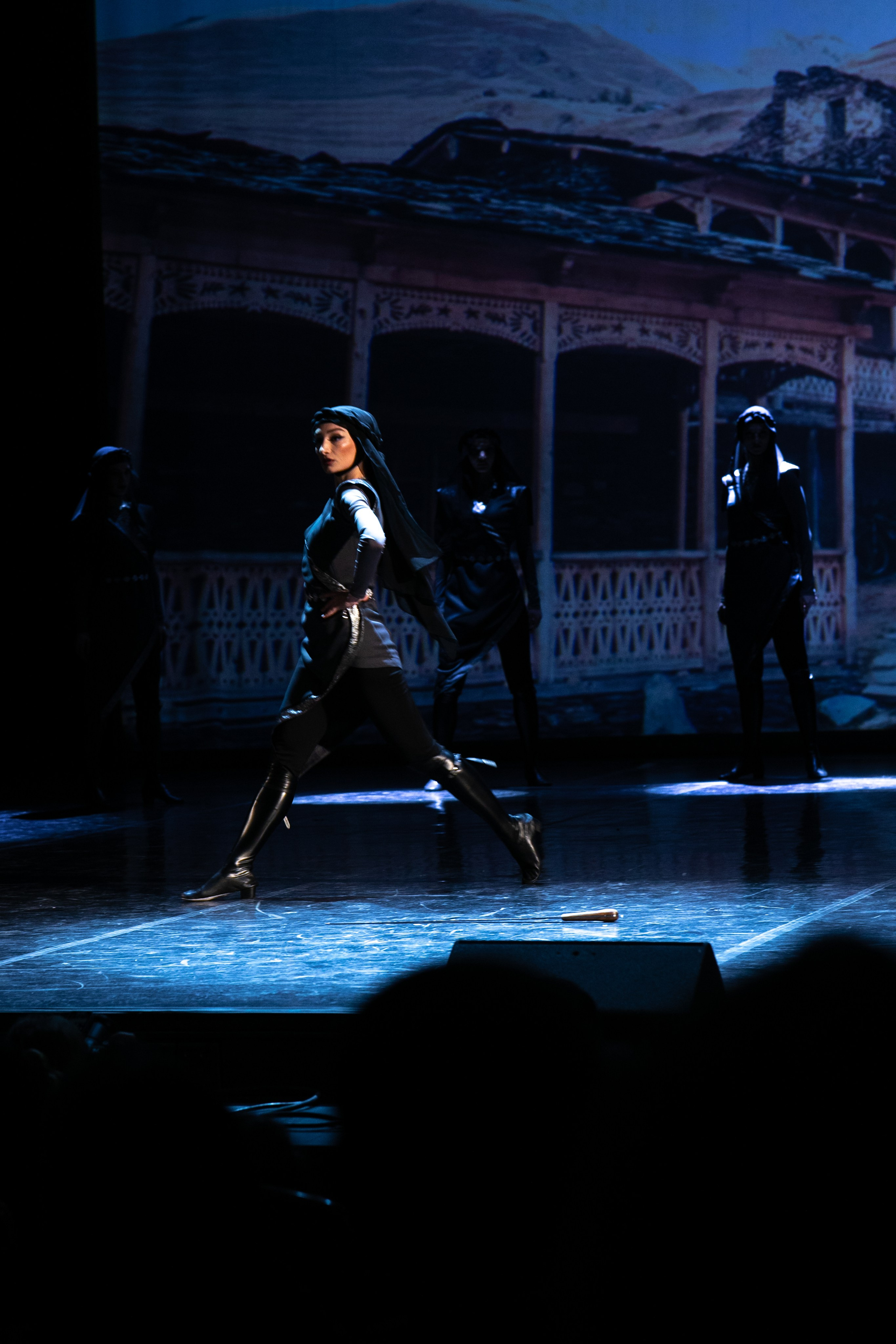 Концерт, грузинские танцы. Art photographer Nino