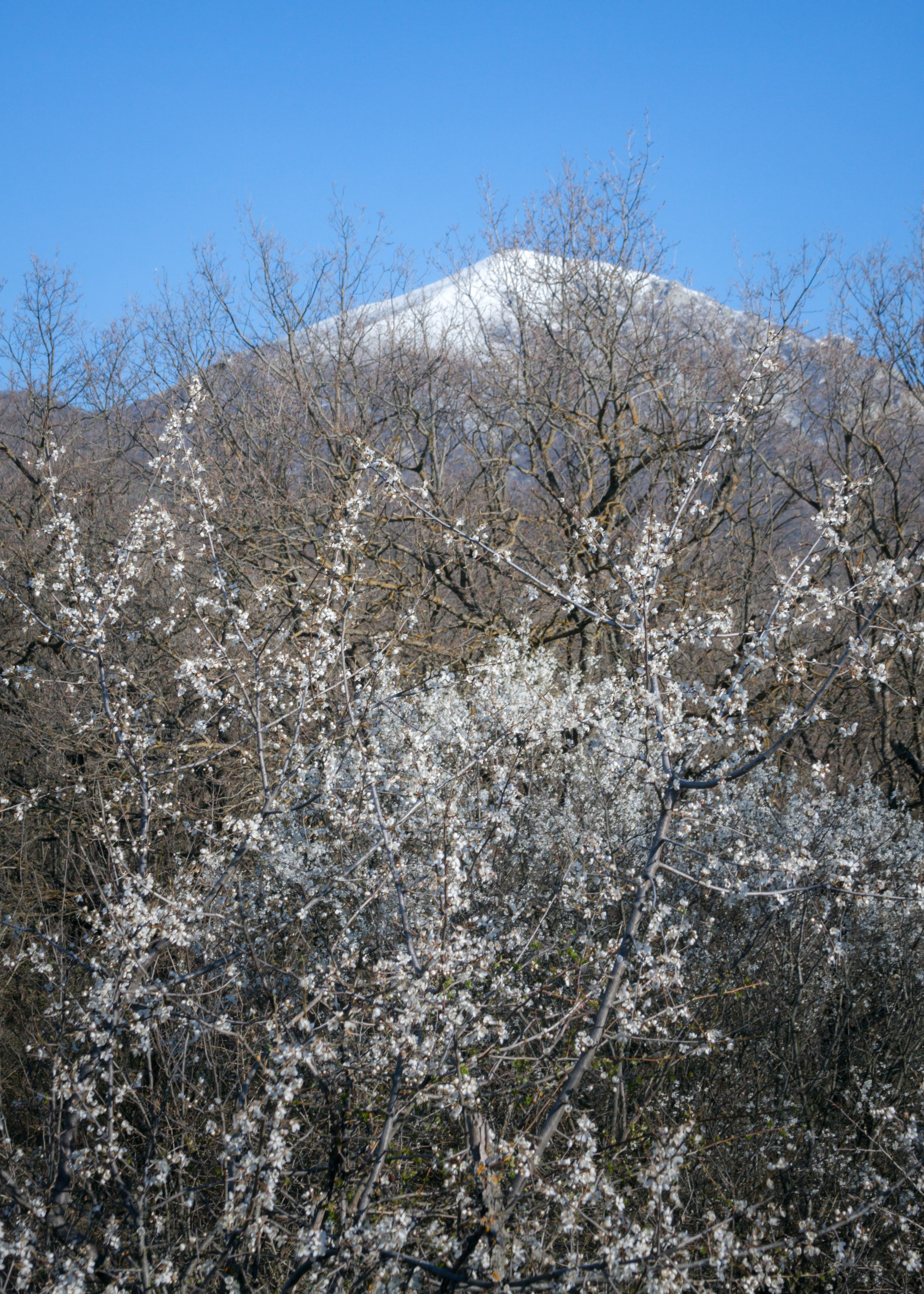 Снег весной на вершине горы Бештау