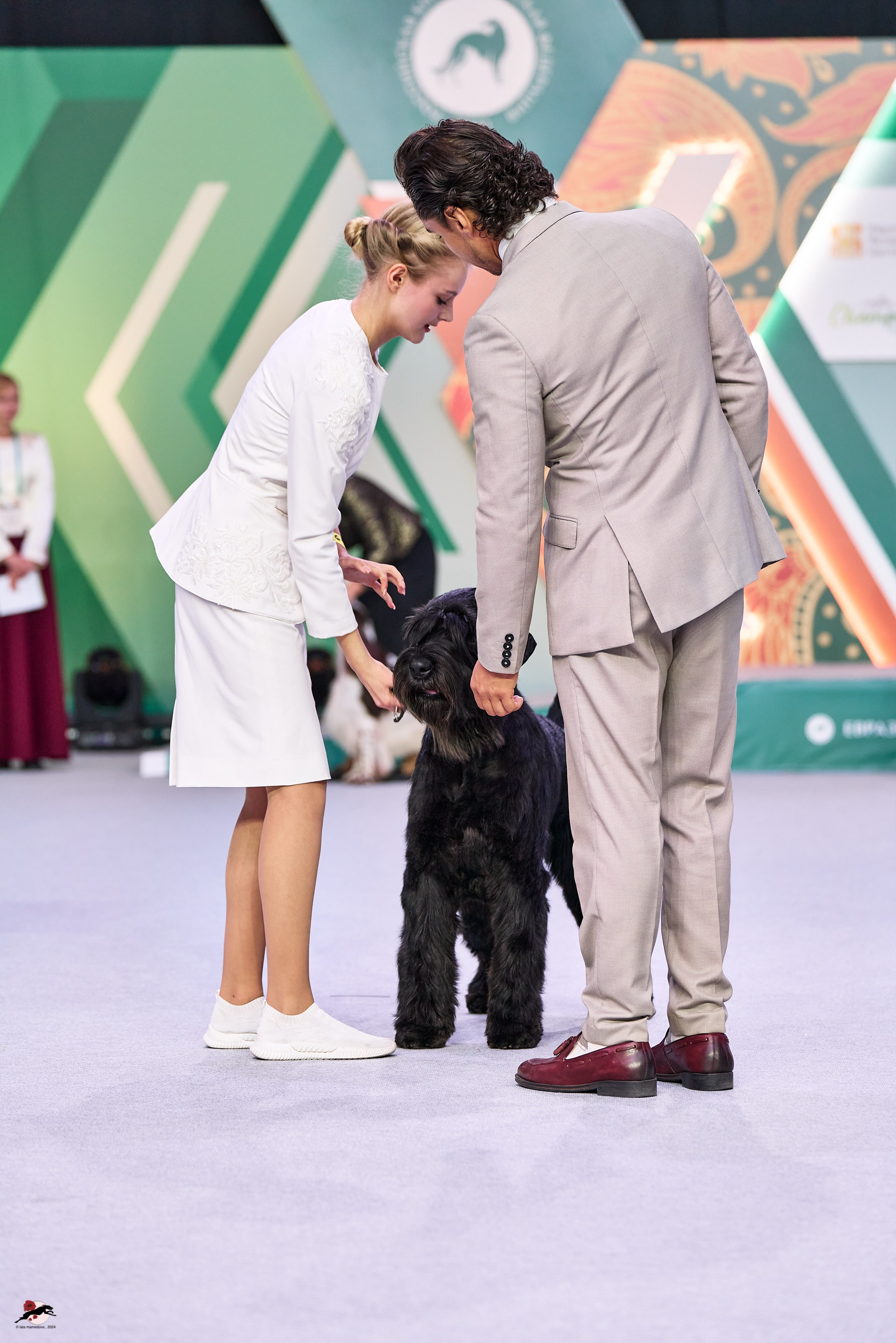 17.11.2024 «ЕВРАЗИЯ. КУБОК СНГ 2024»