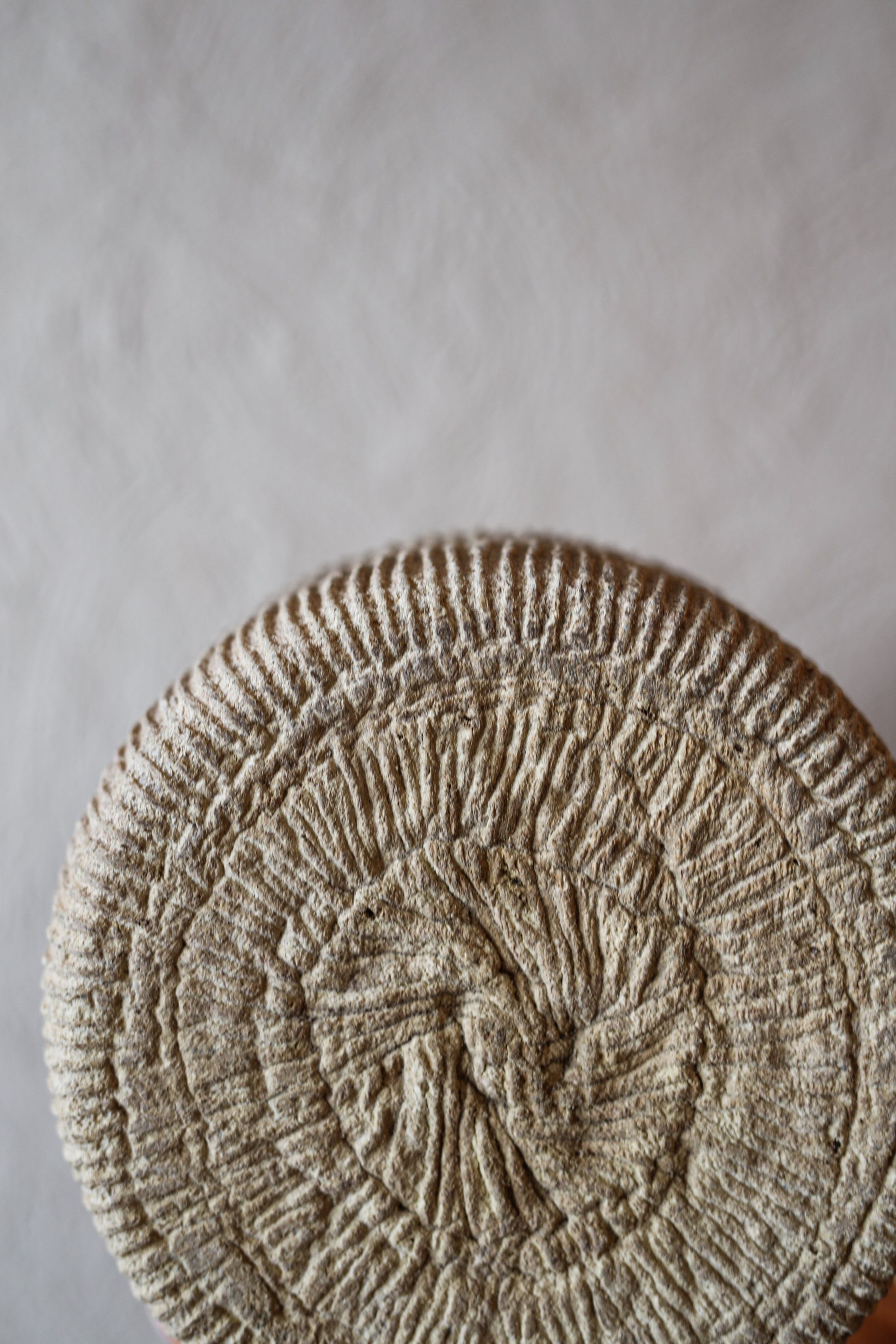 Суздаль/ ДЫМОВ КЕРАМИКА. Фотограф Артапова Алёна москва