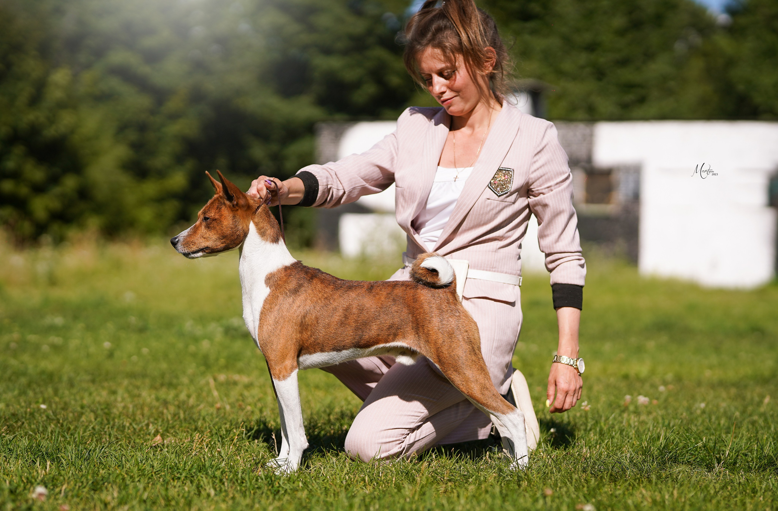 Выставки 2023. Фотограф-анималист в Санкт-Петербурге Яна Мартынова