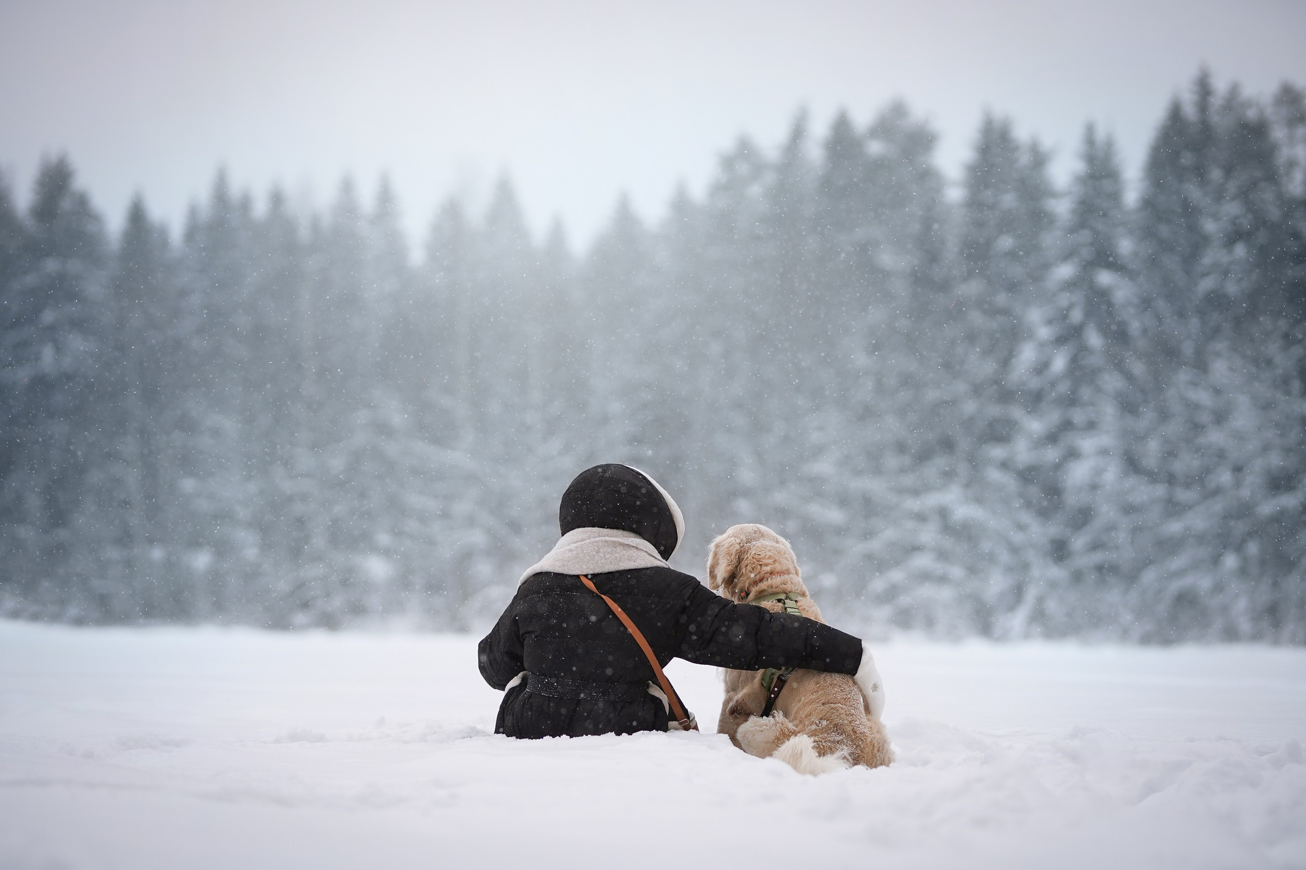 Настя и Арчи. Фотограф-анималист в Санкт-Петербурге Яна Мартынова