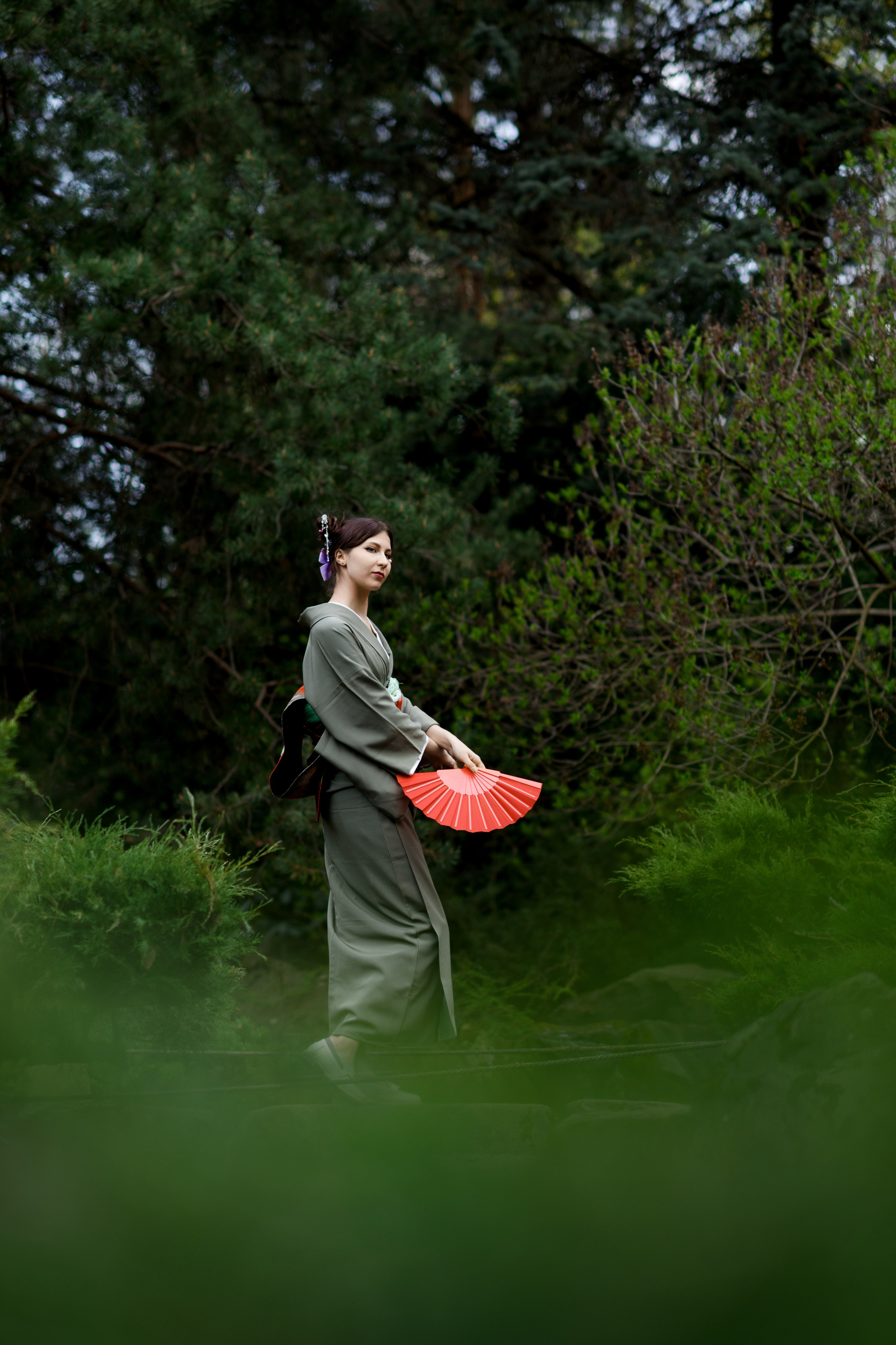 Любование цветением сакуры в Японском саду. Главная