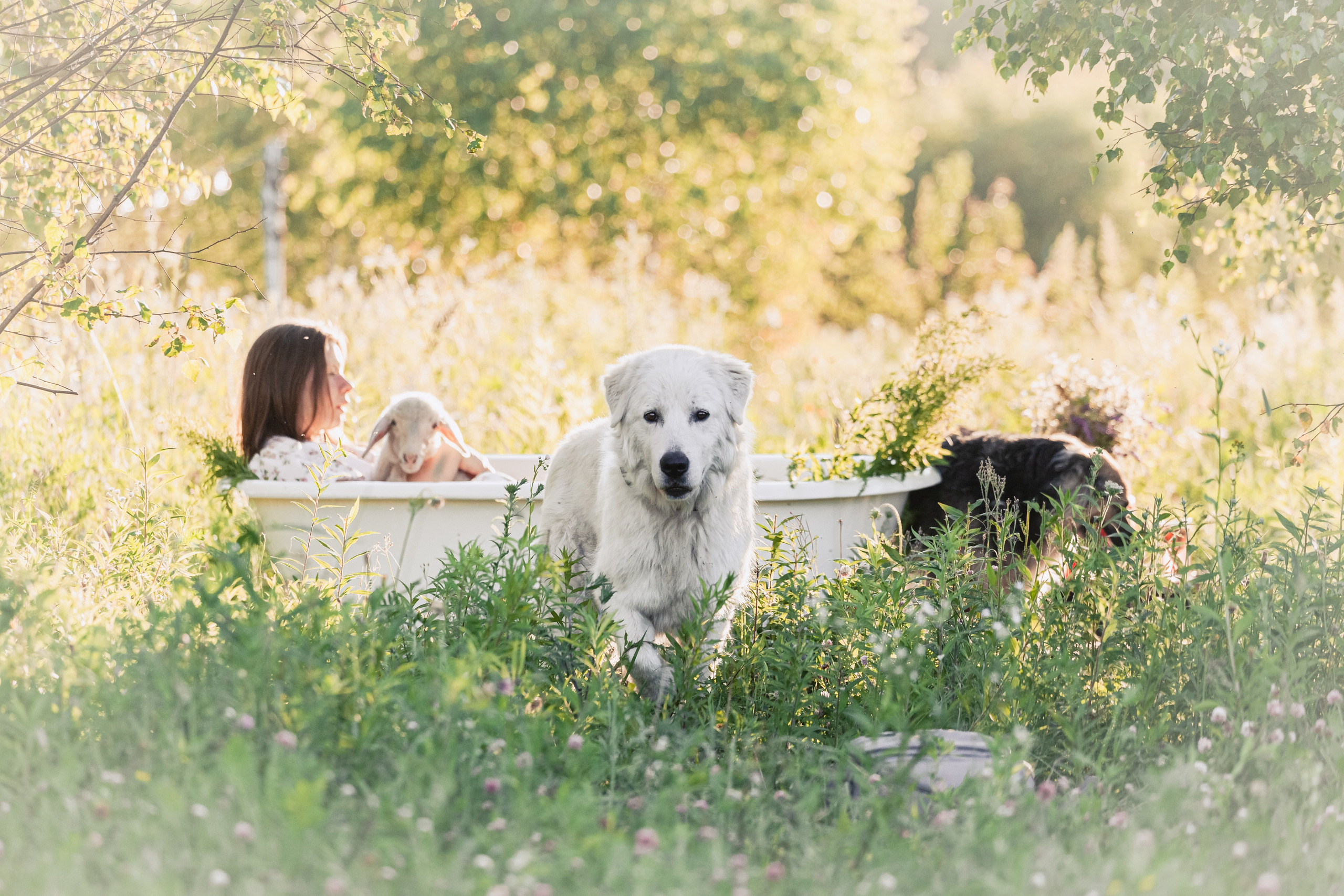 Ванна в поле. Фотограф-анималист Татьяна Степанова