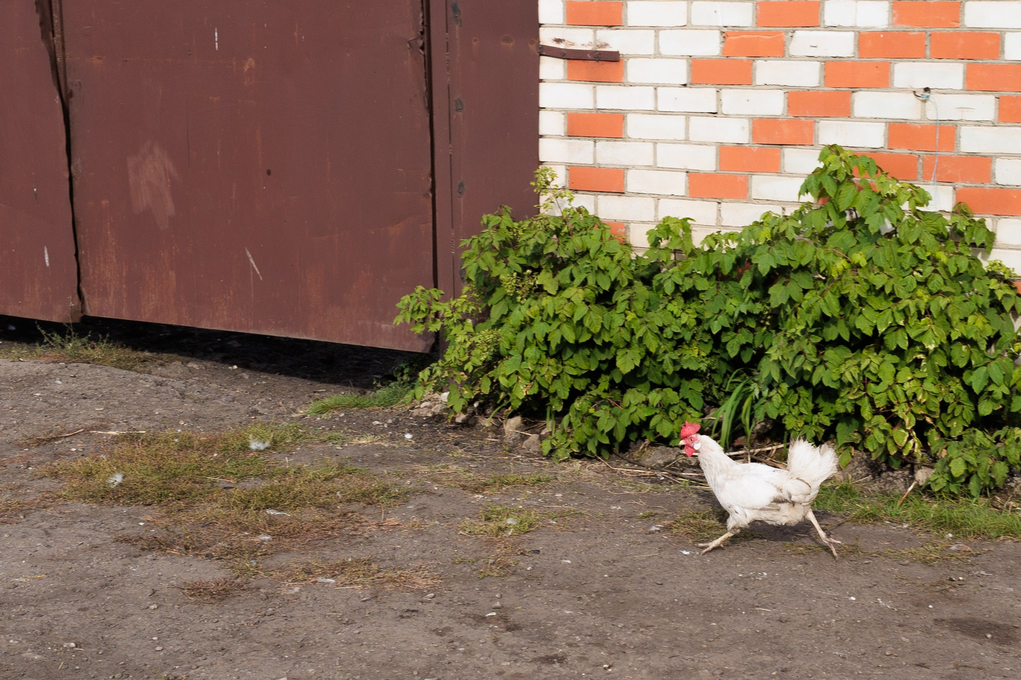 Краснооктябрьский район, 03.10.25