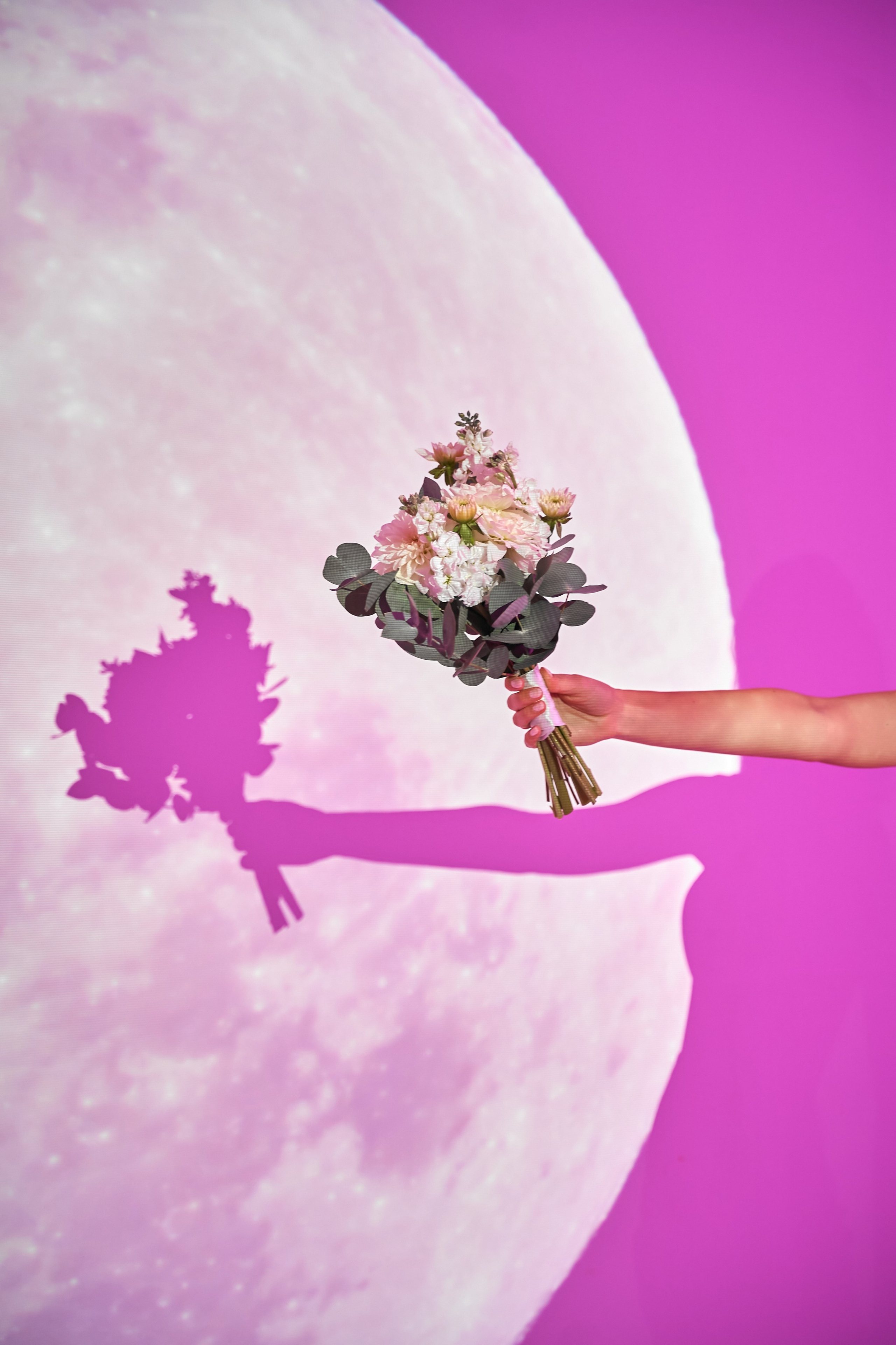 Фотограф Александр Музыка