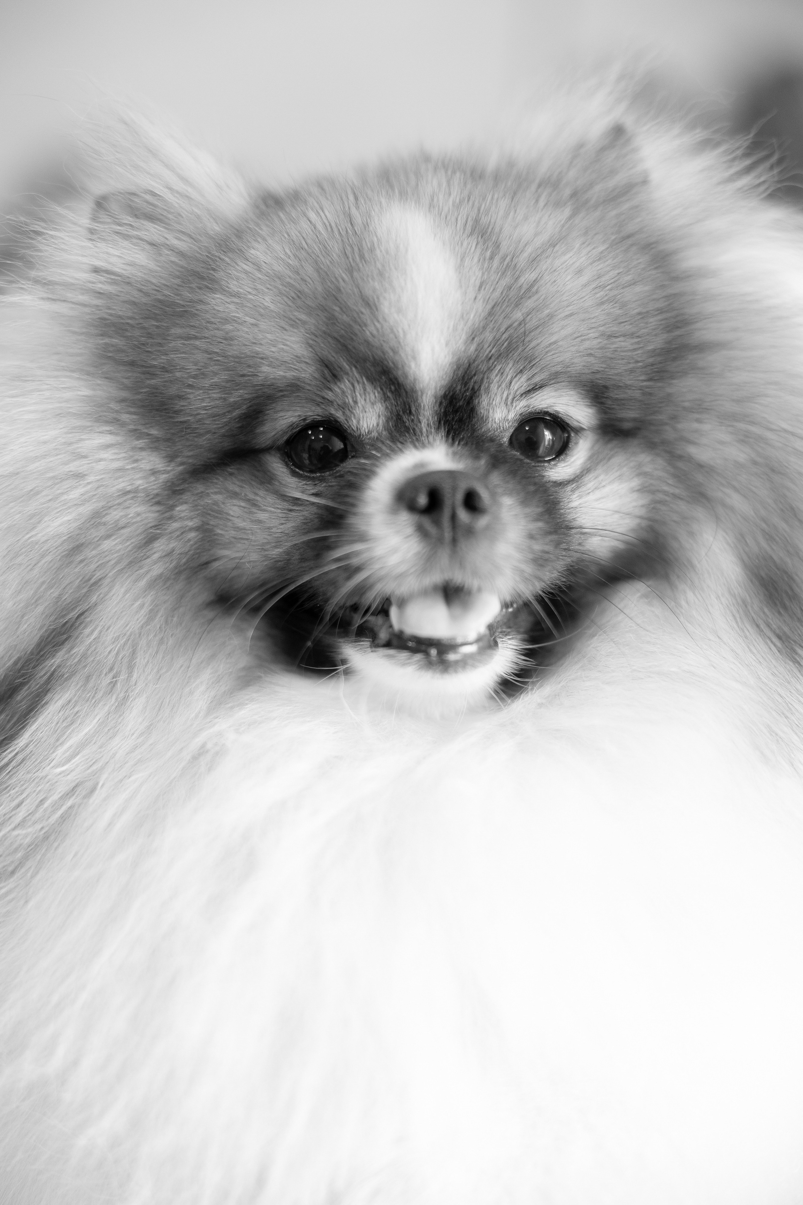 K & E. Свадебный и event-фотограф Иван Волнухин