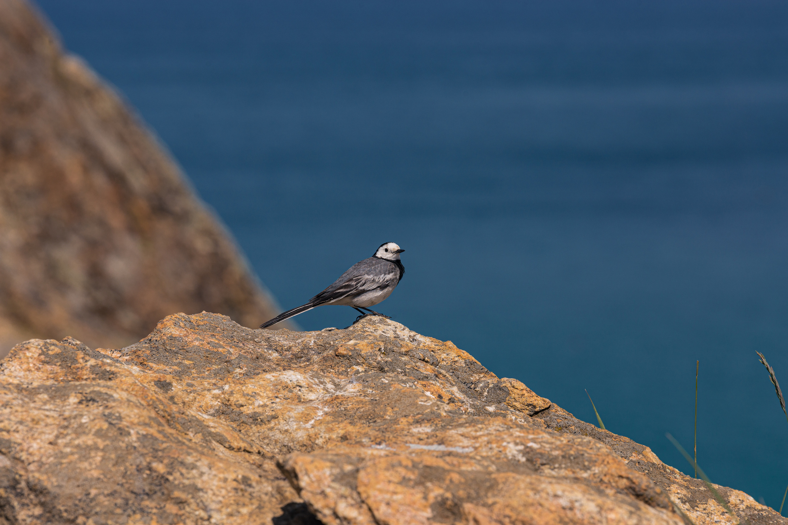 Природа. Фотограф ваших событий в Красноярске — Макс Захарченко