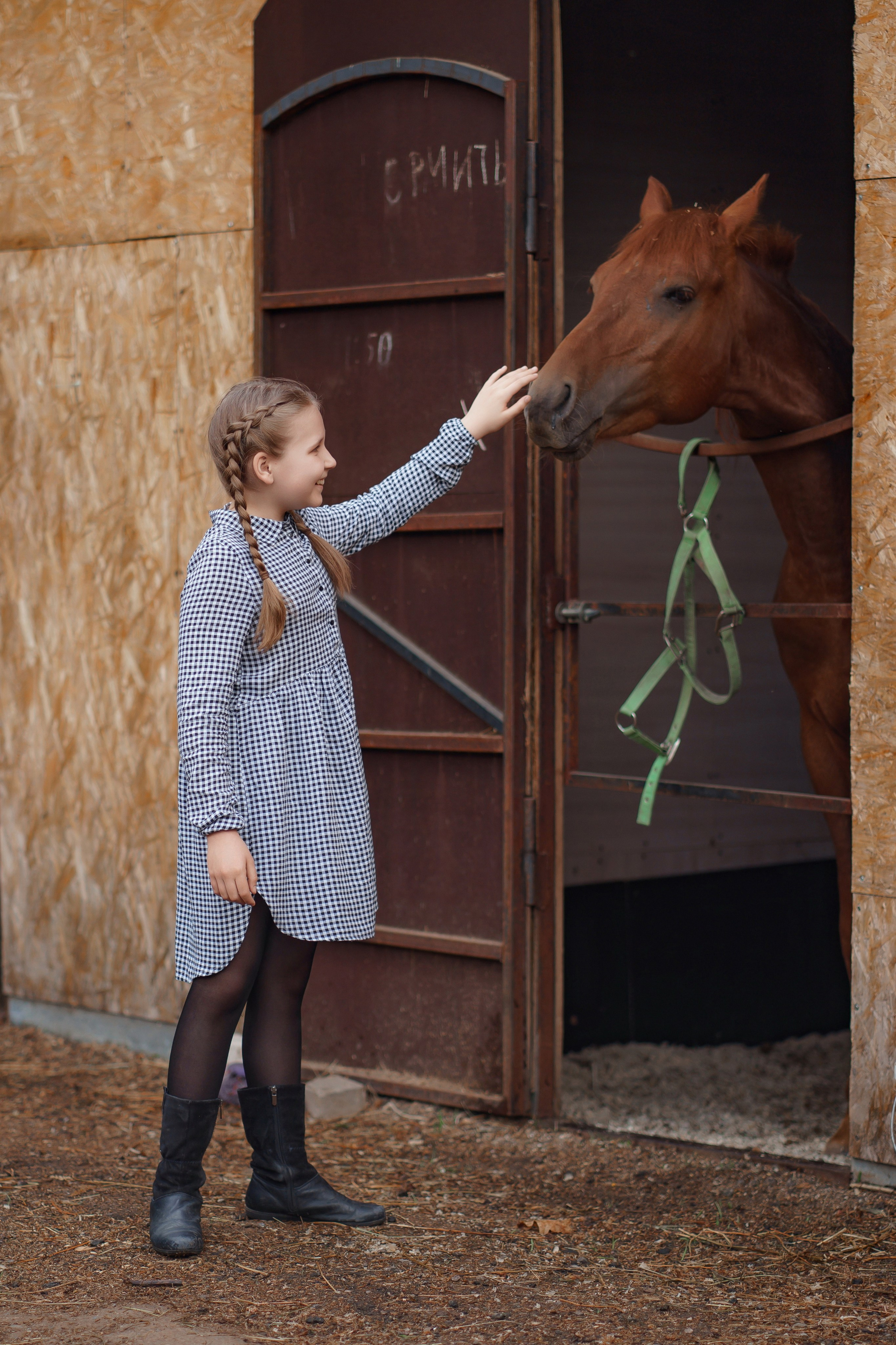 ФЕРМА. Фотограф Людмила Панюхина г. Нижний Новгород
