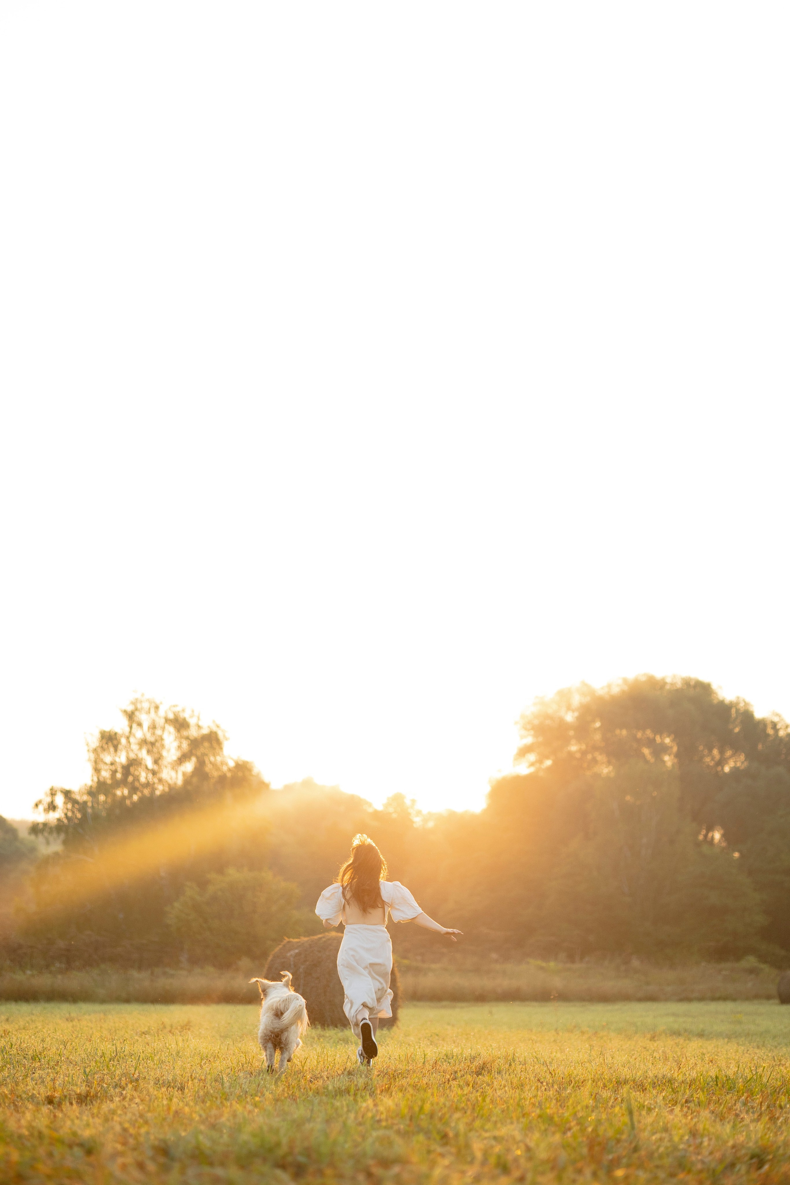 Рассветная съемка с собакой. Анастасия Белаш