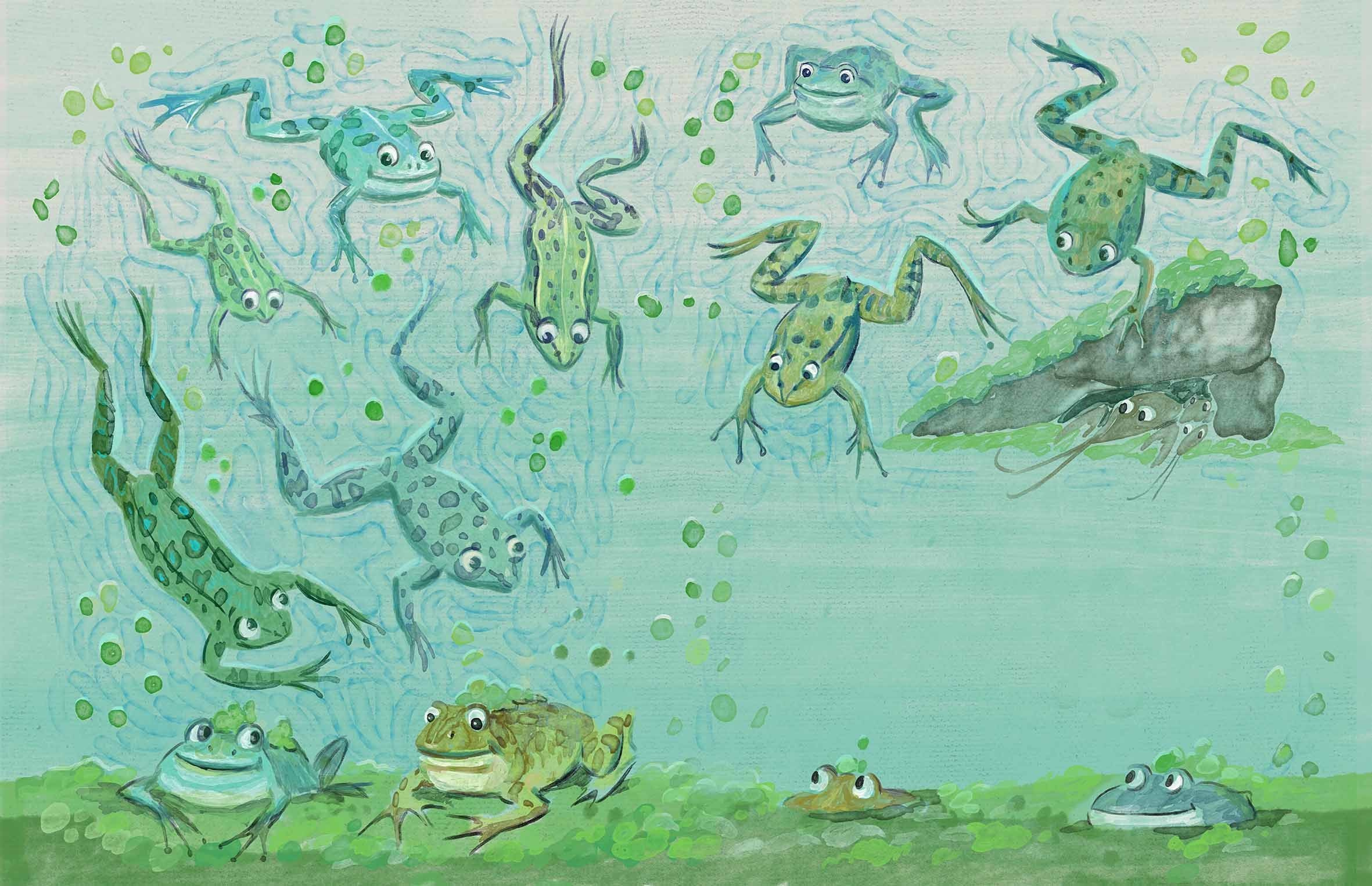 Where the crayfish hibernate. Анна Гантимурова иллюстратор, театральный видеохудожник мультипликатор