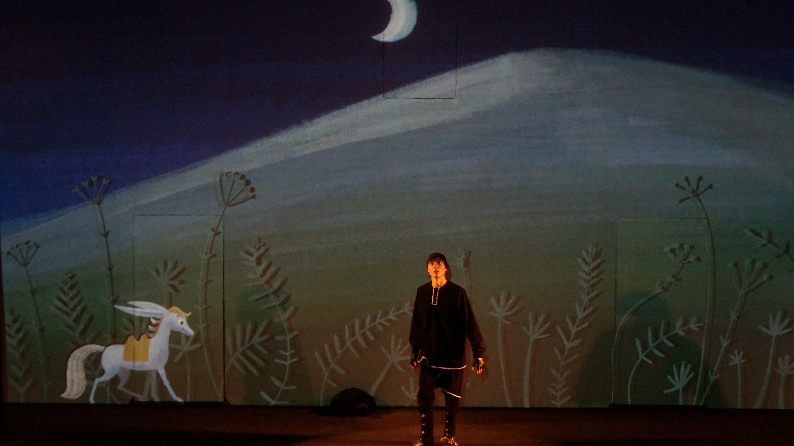 The Little Humpbacked Horse. Анна Гантимурова иллюстратор, театральный видеохудожник мультипликатор