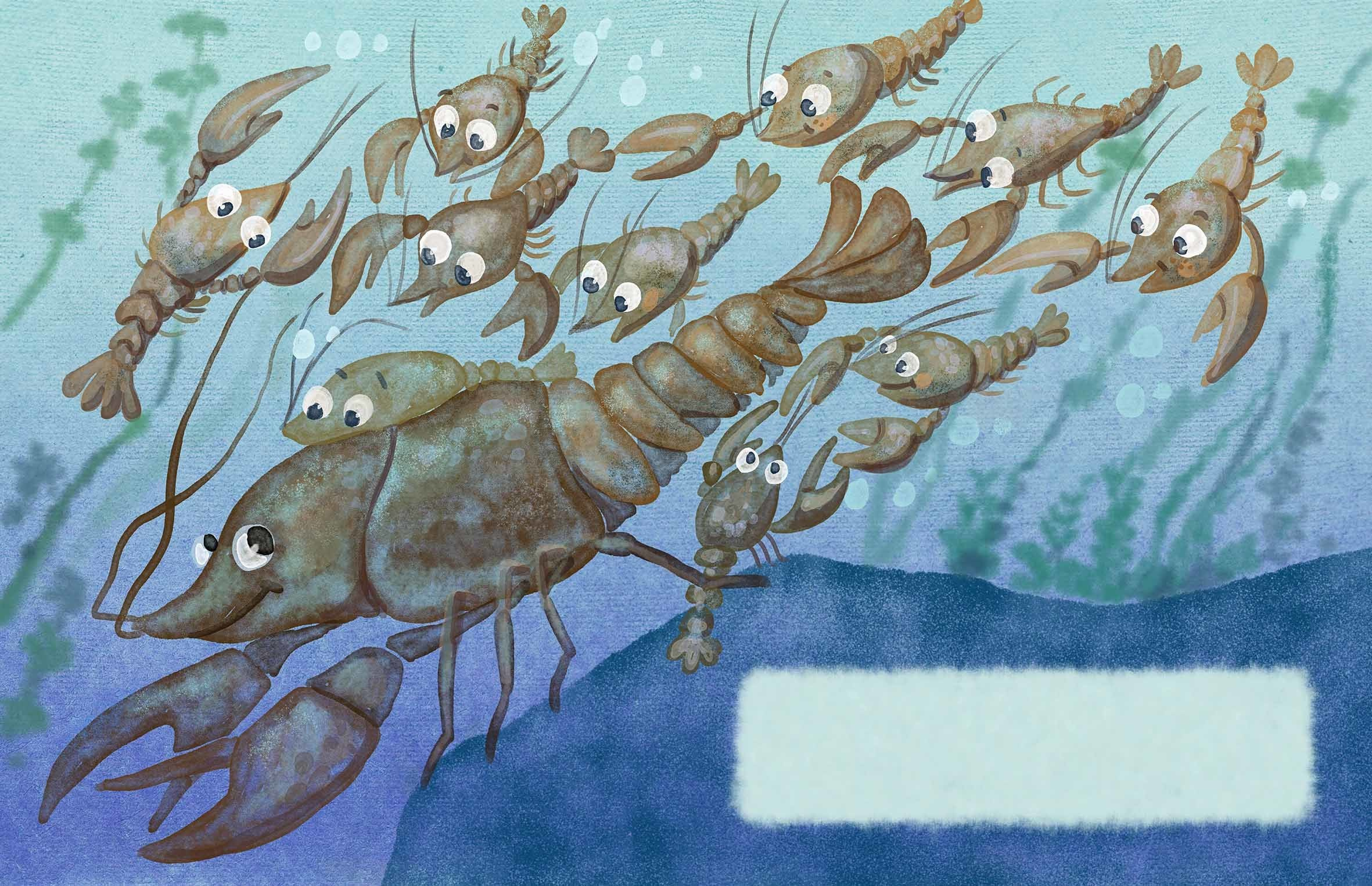 Where the crayfish hibernate. Анна Гантимурова иллюстратор, театральный видеохудожник мультипликатор