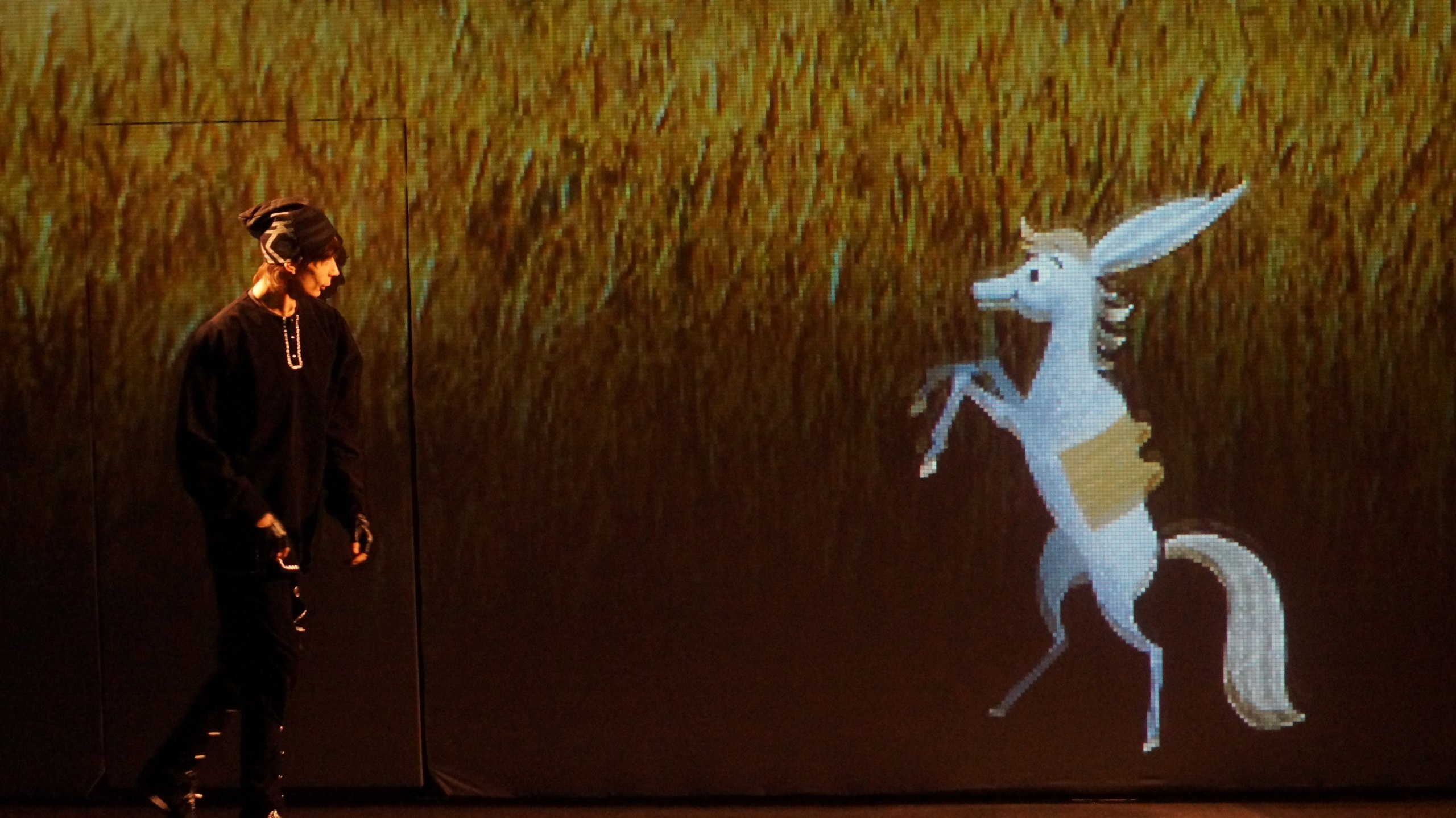 The Little Humpbacked Horse. Анна Гантимурова иллюстратор, театральный видеохудожник мультипликатор