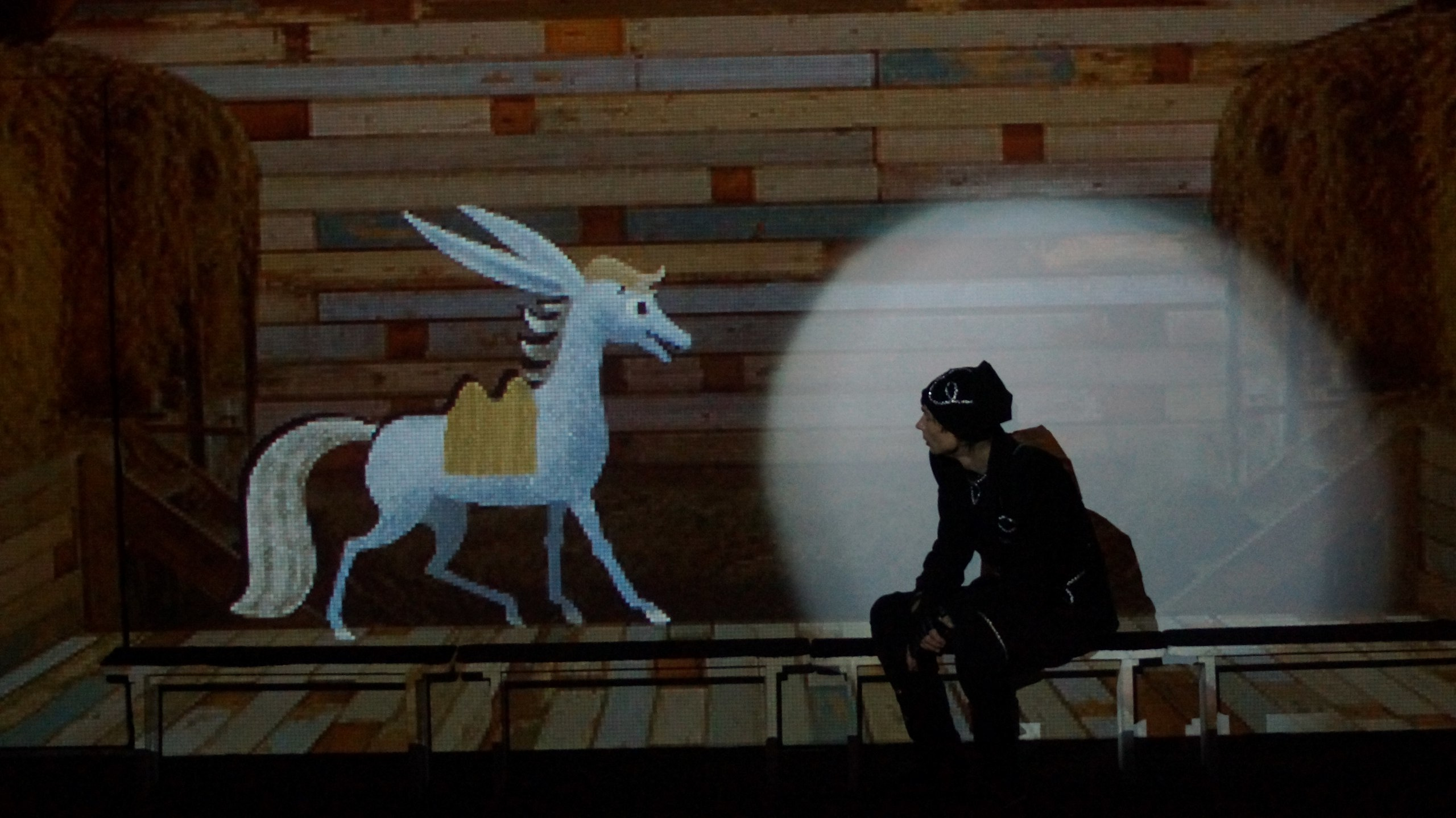 The Little Humpbacked Horse. Анна Гантимурова иллюстратор, театральный видеохудожник мультипликатор