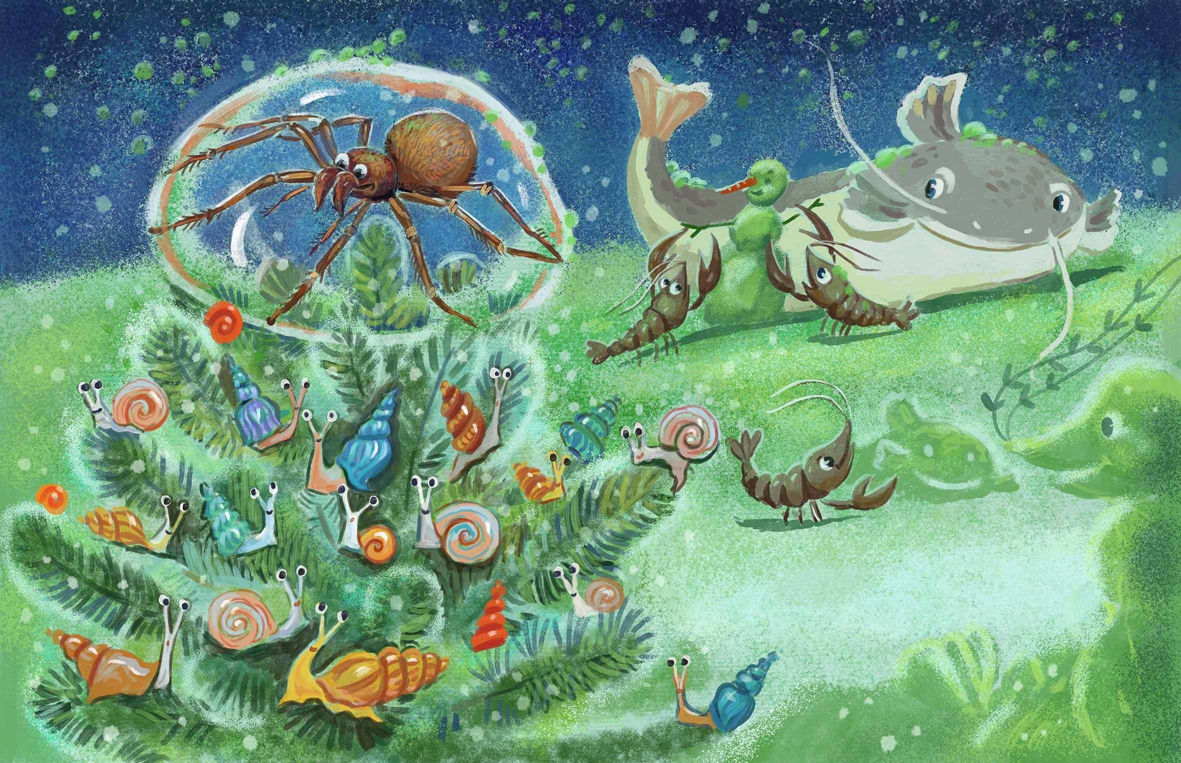 Where the crayfish hibernate. Анна Гантимурова иллюстратор, театральный видеохудожник мультипликатор