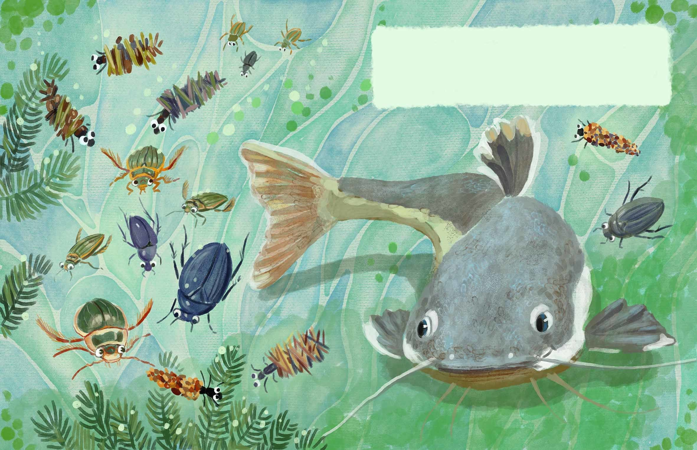 Where the crayfish hibernate. Анна Гантимурова иллюстратор, театральный видеохудожник мультипликатор