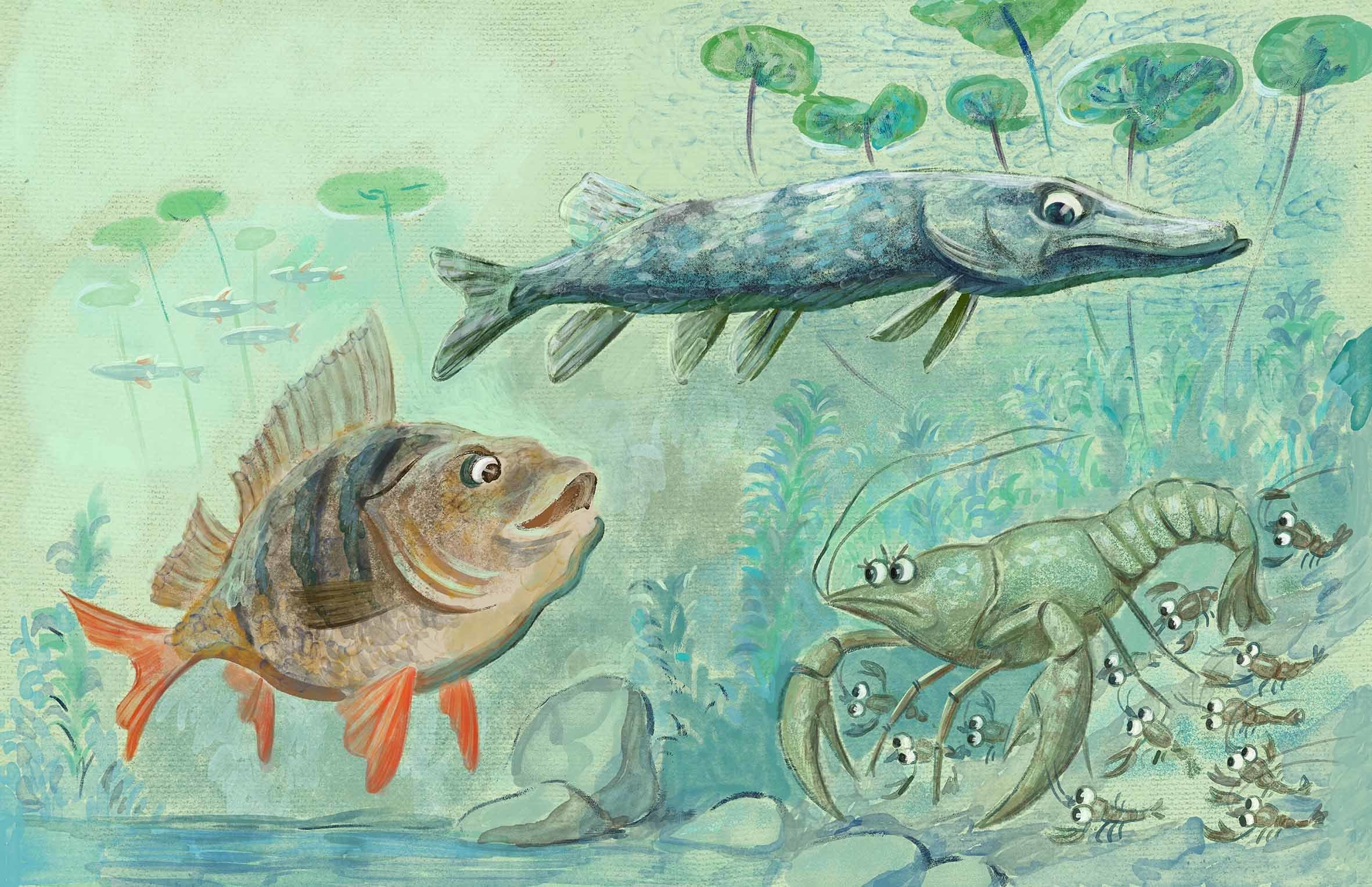 Where the crayfish hibernate. Анна Гантимурова иллюстратор, театральный видеохудожник мультипликатор