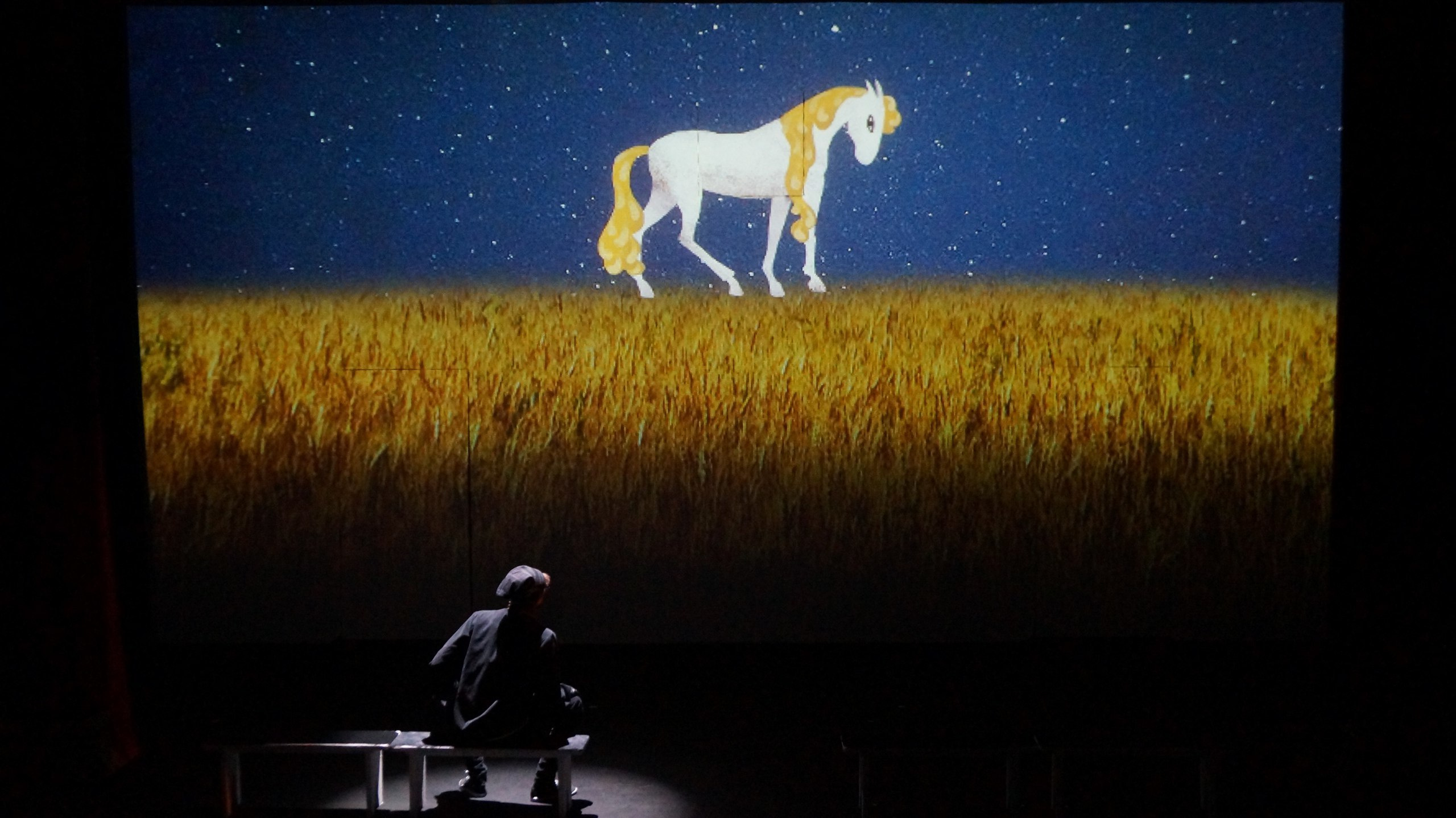 The Little Humpbacked Horse. Анна Гантимурова иллюстратор, театральный видеохудожник мультипликатор